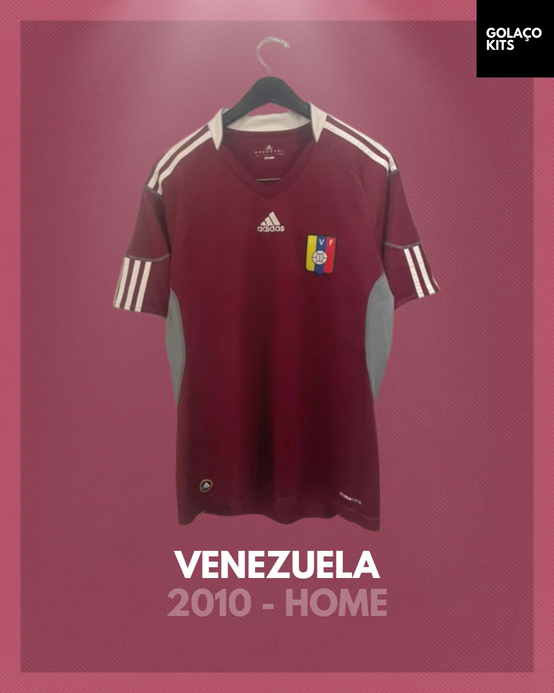Venezuela 2010 Home
