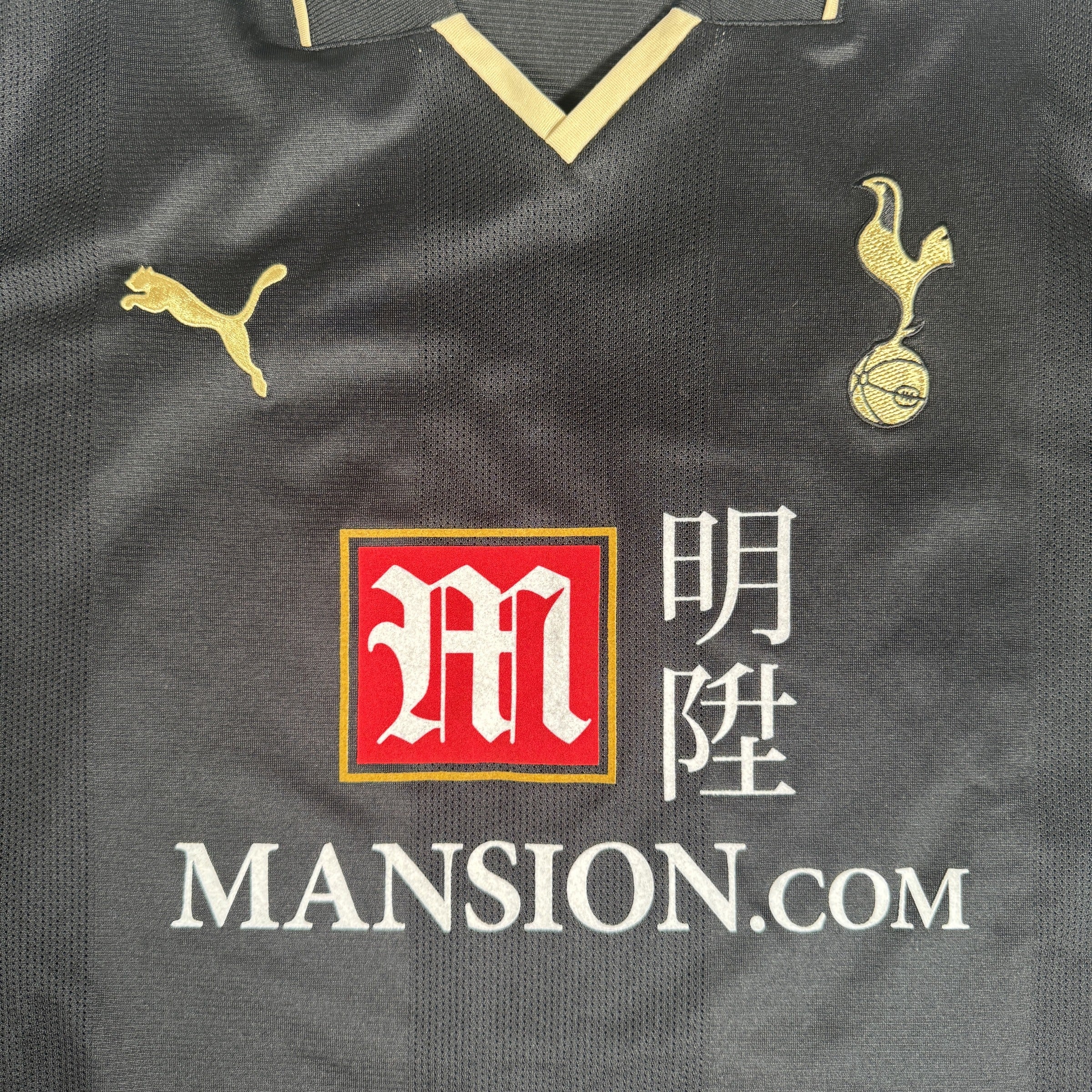 Tottenham Hotspur 2008-09 Third