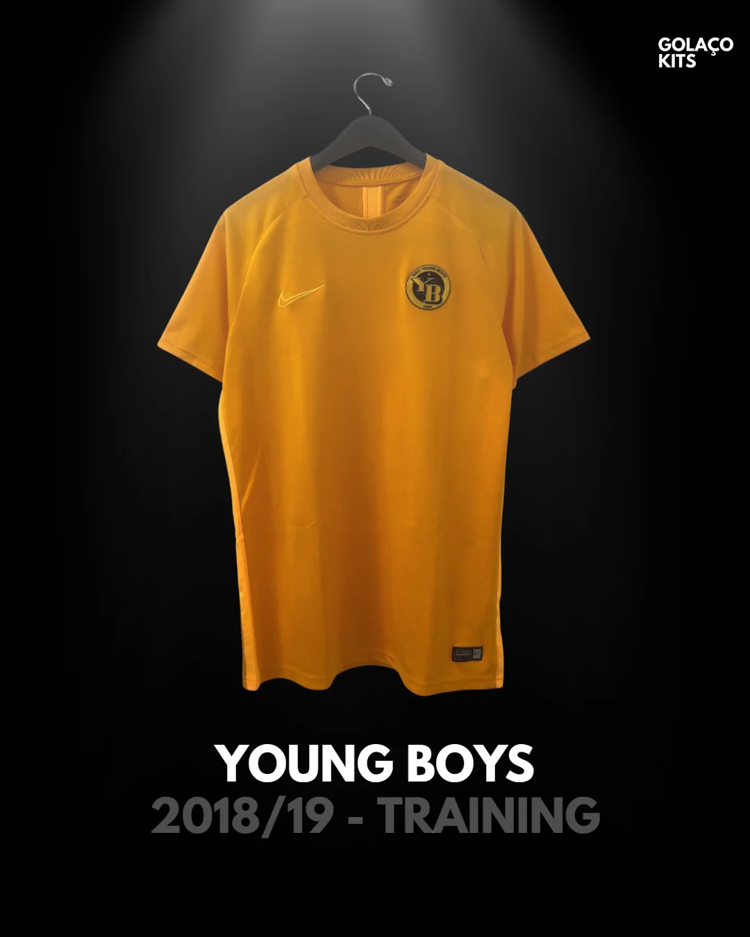 BSC Young Boys 2018-19 Training