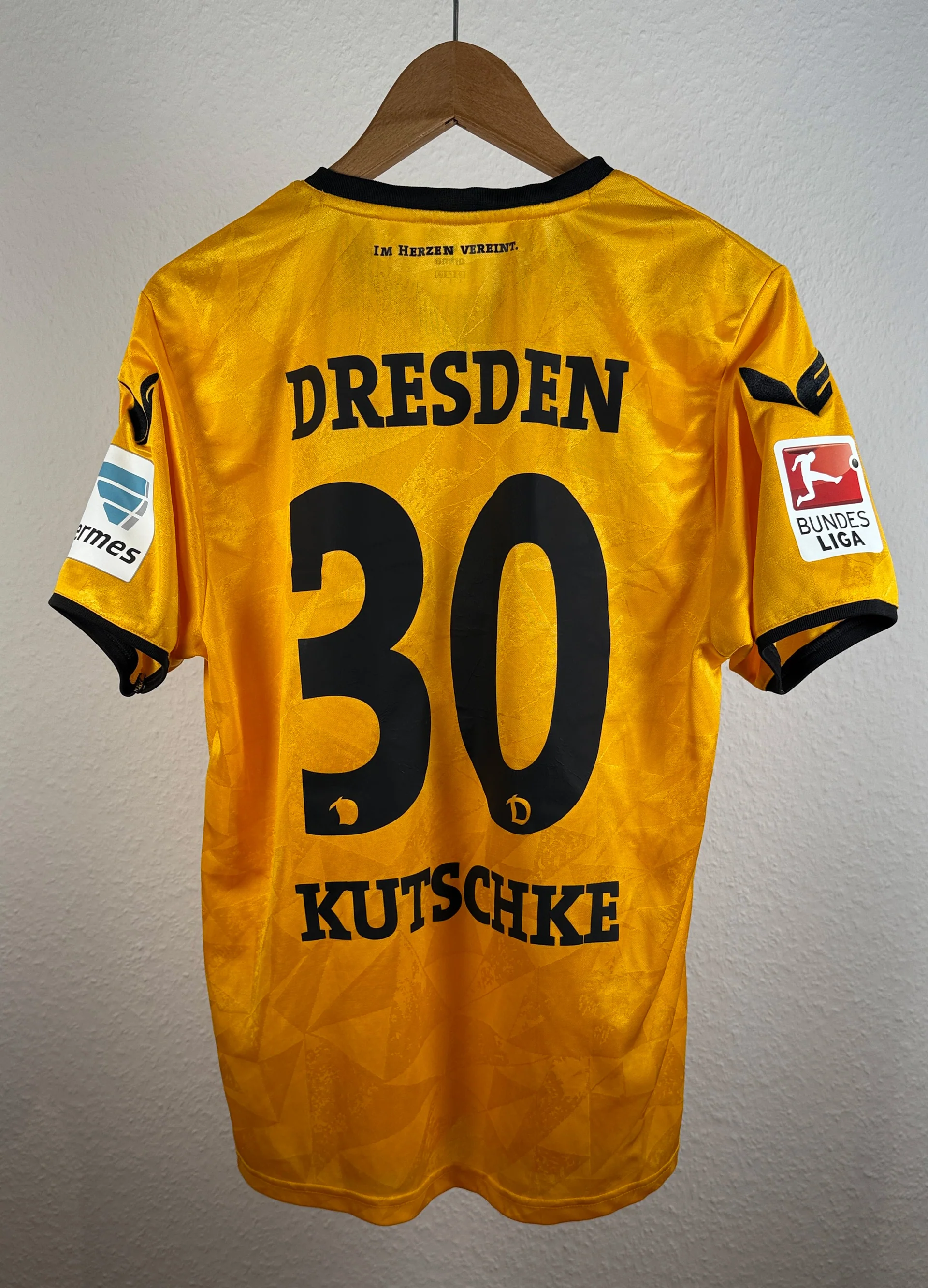 Dynamo Dresden 2016-17 Home