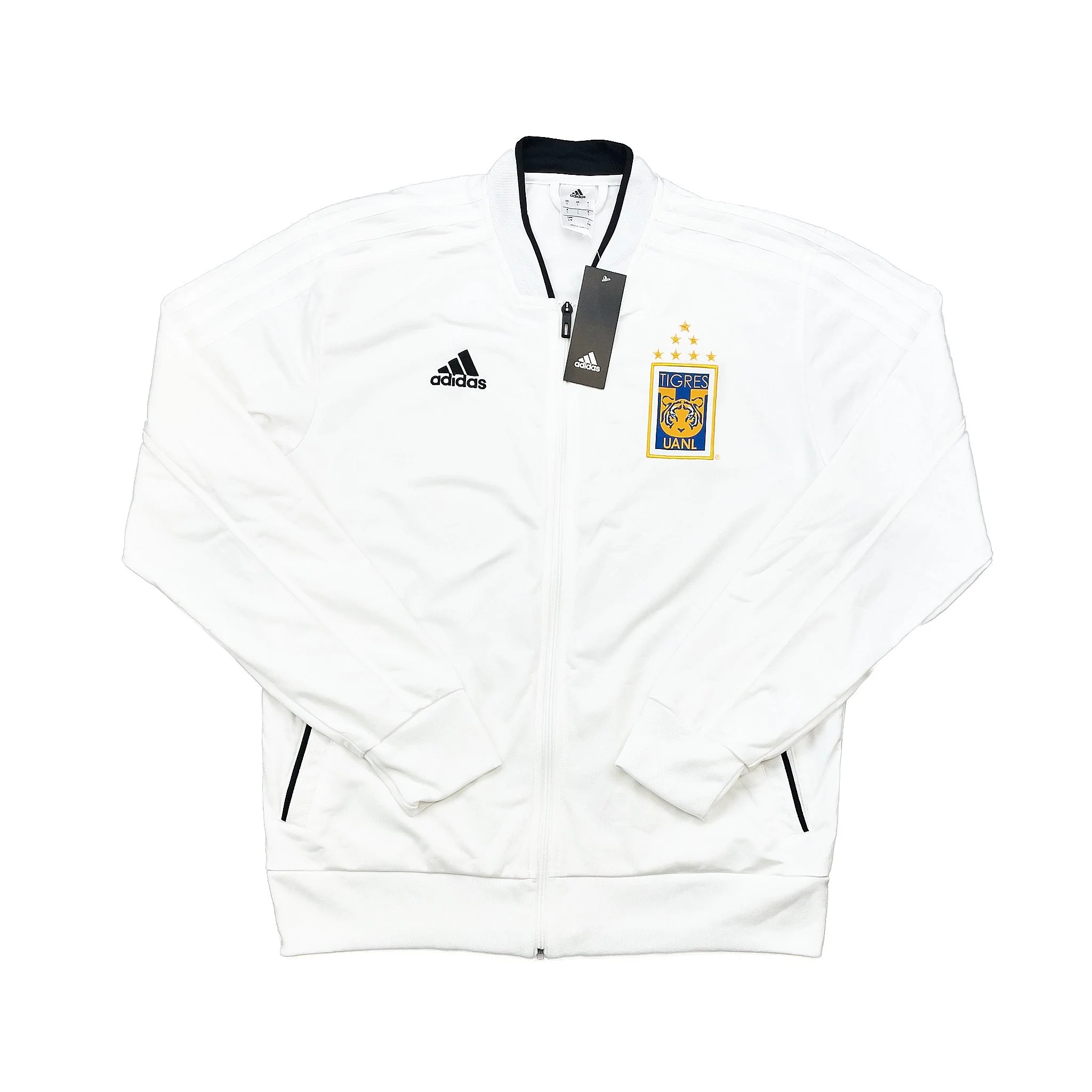 Tigres 2018-19 Training