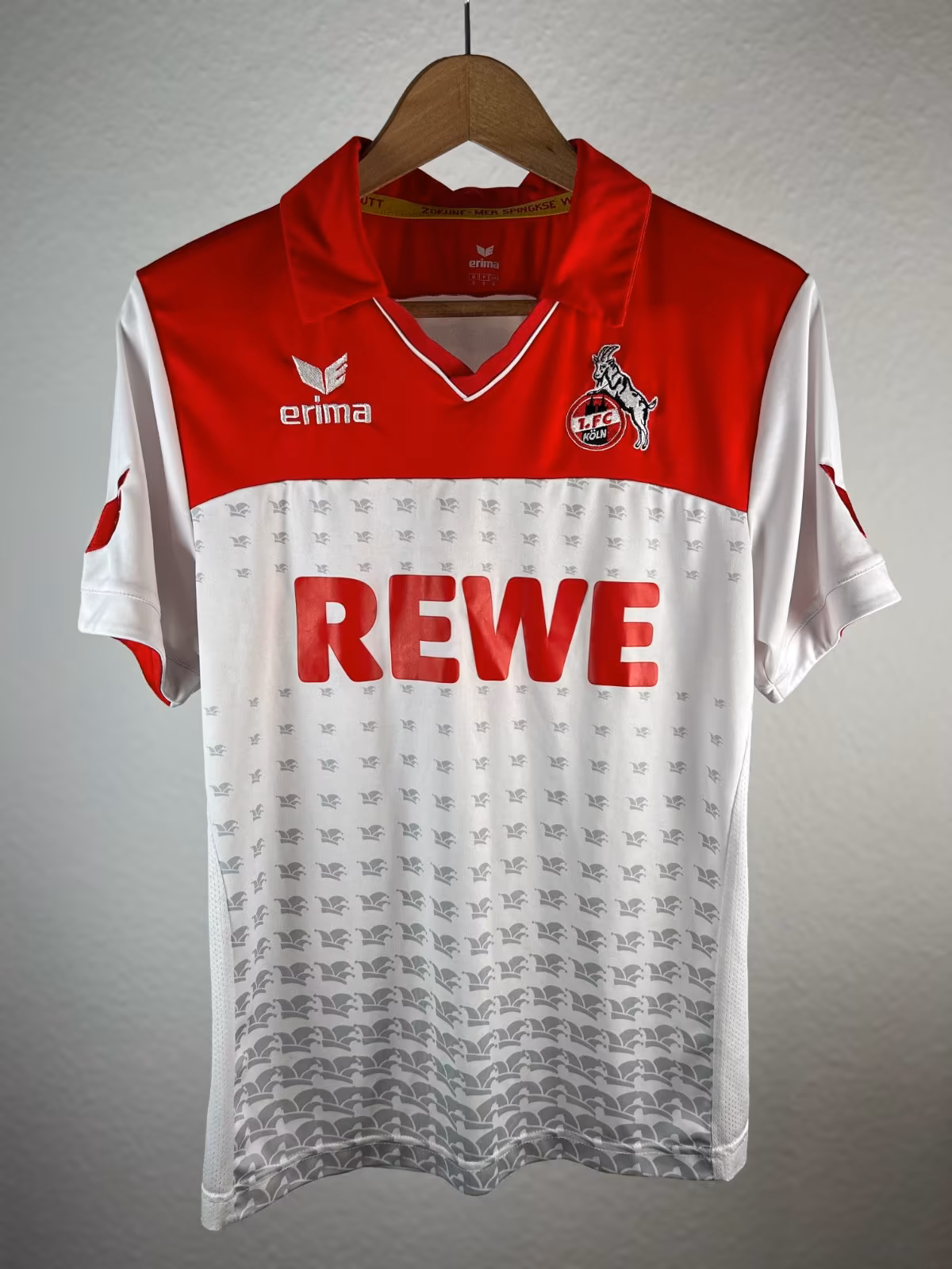 FC Koln 2013-14 Special