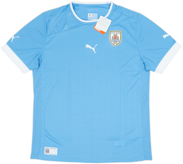 Uruguay 2012-13 Home