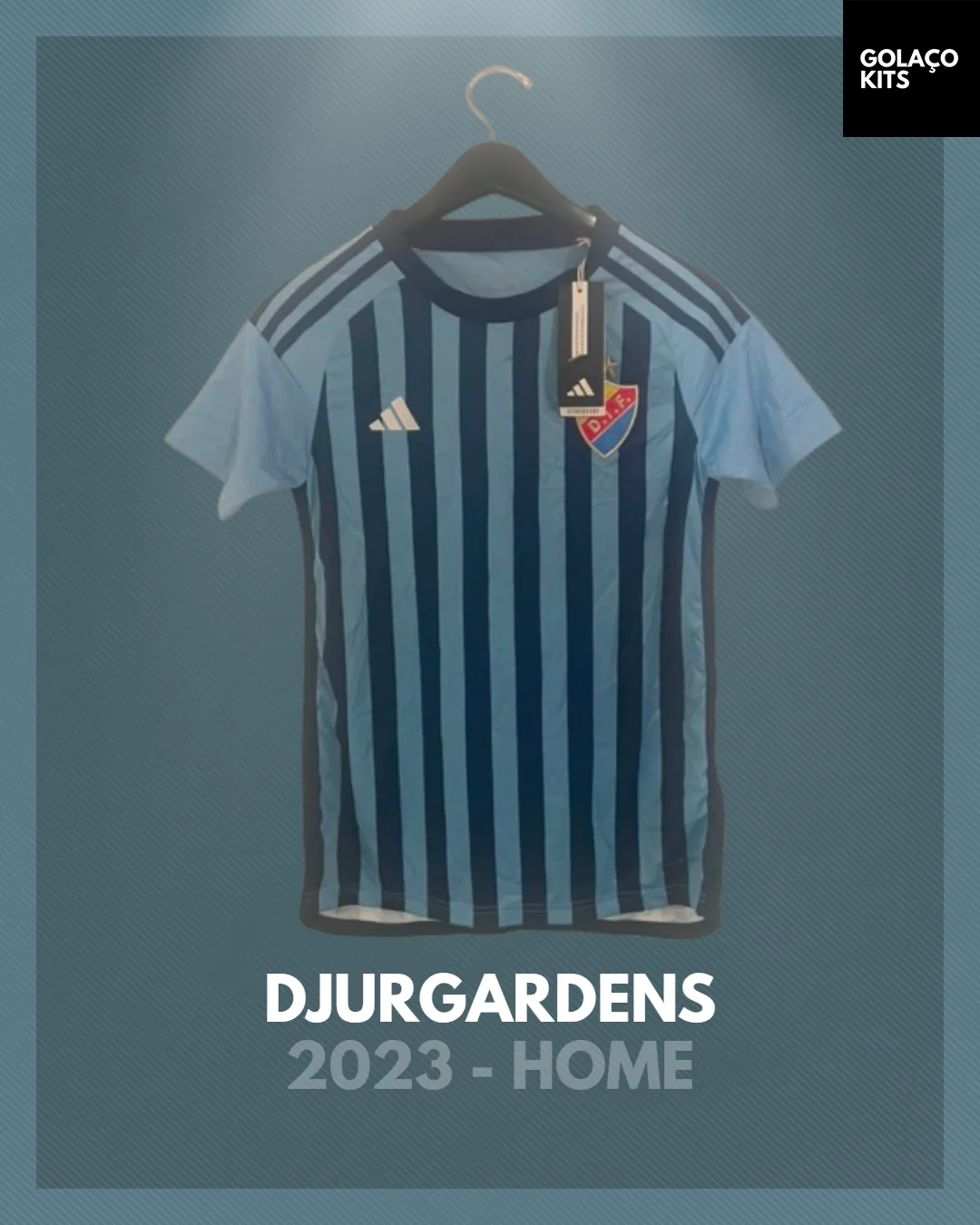 Djurgardens 2023 Home