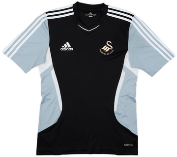 Swansea City 2011-12 Training