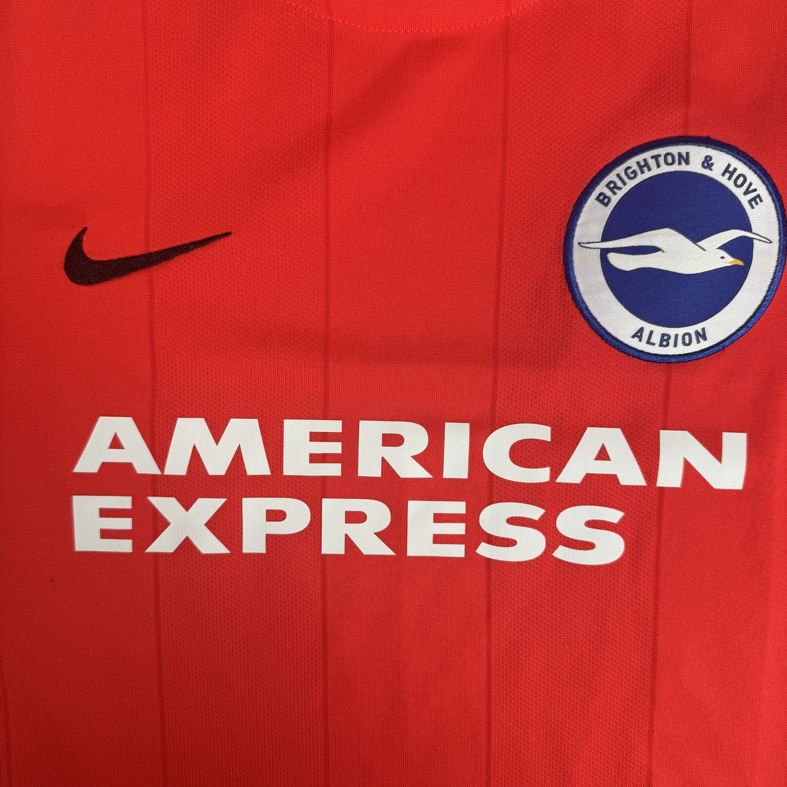 Brighton and Hove Albion 2015-16 Third