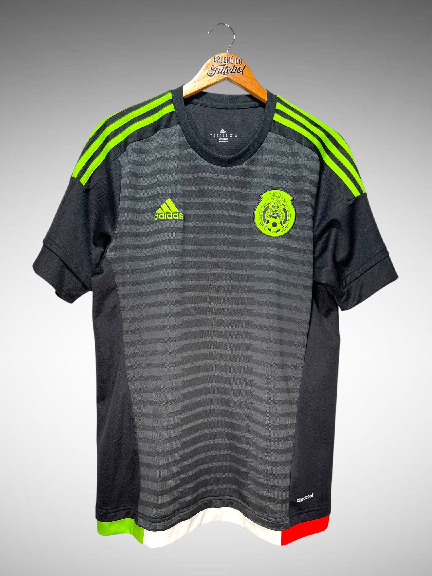 Mexico 2015 Other