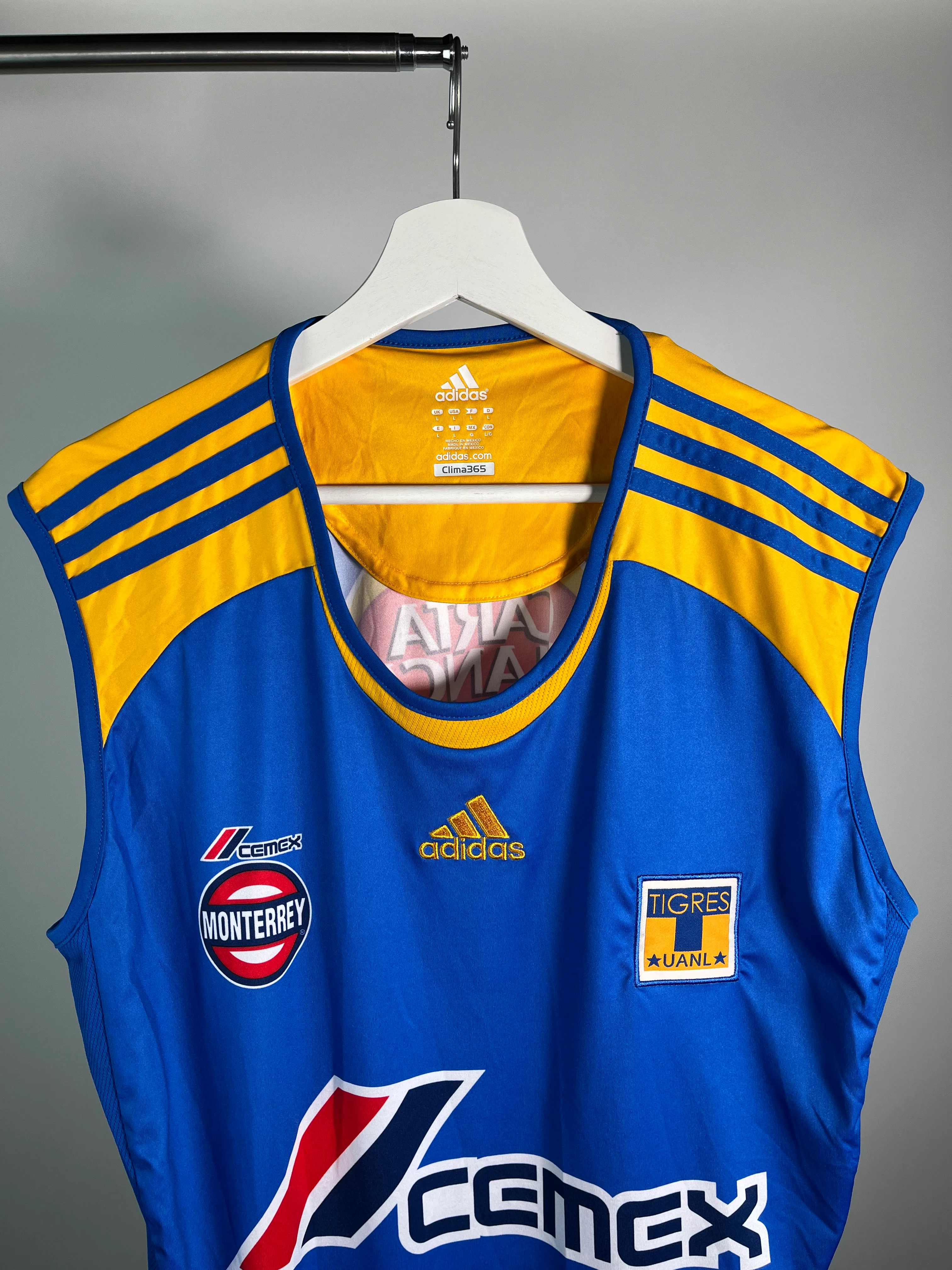 Tigres 2006-07 Training