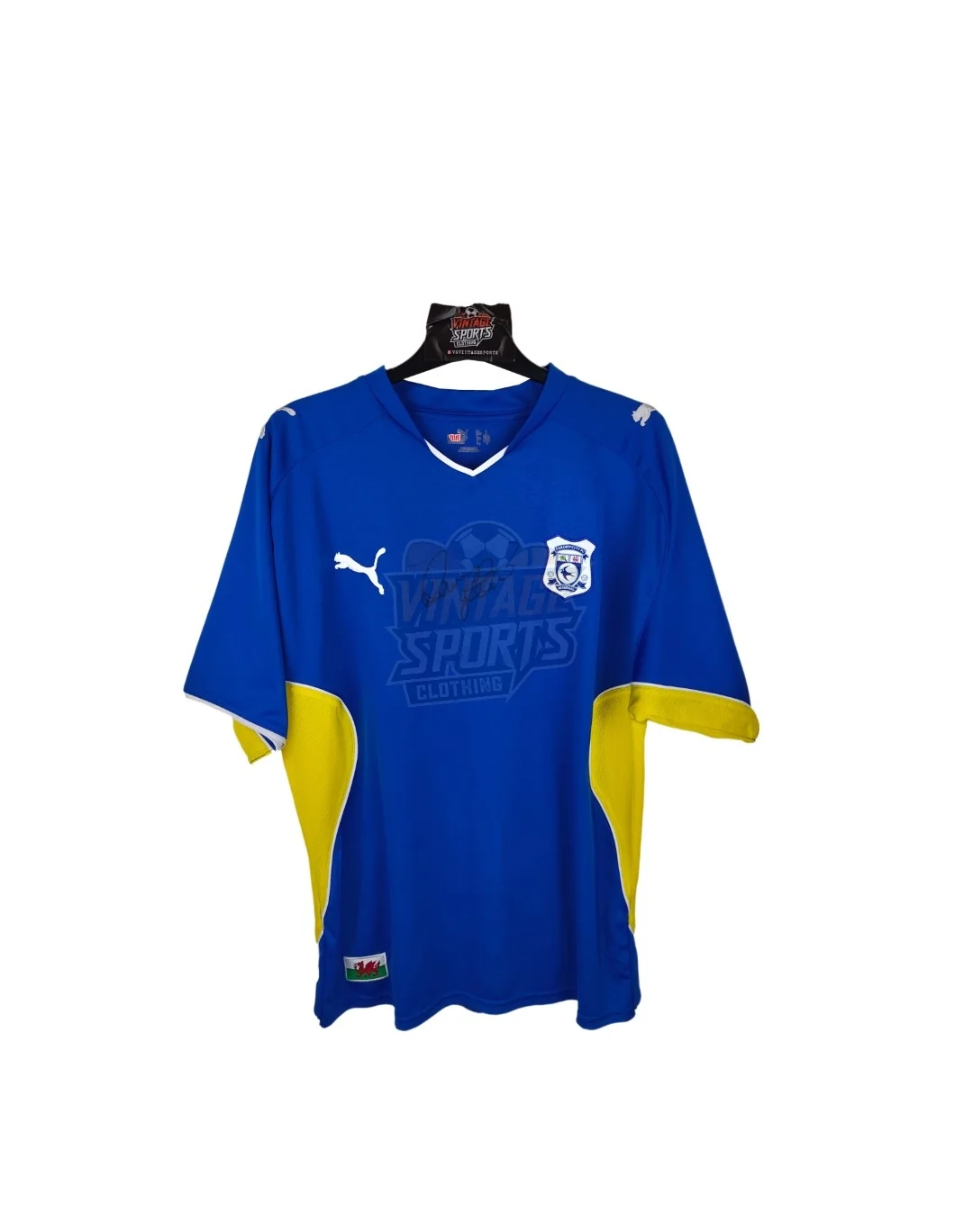 Cardiff City 2009-10 Special