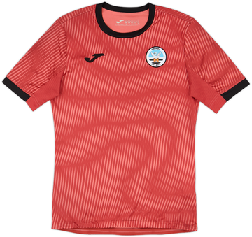 Swansea City 2021-22 Training
