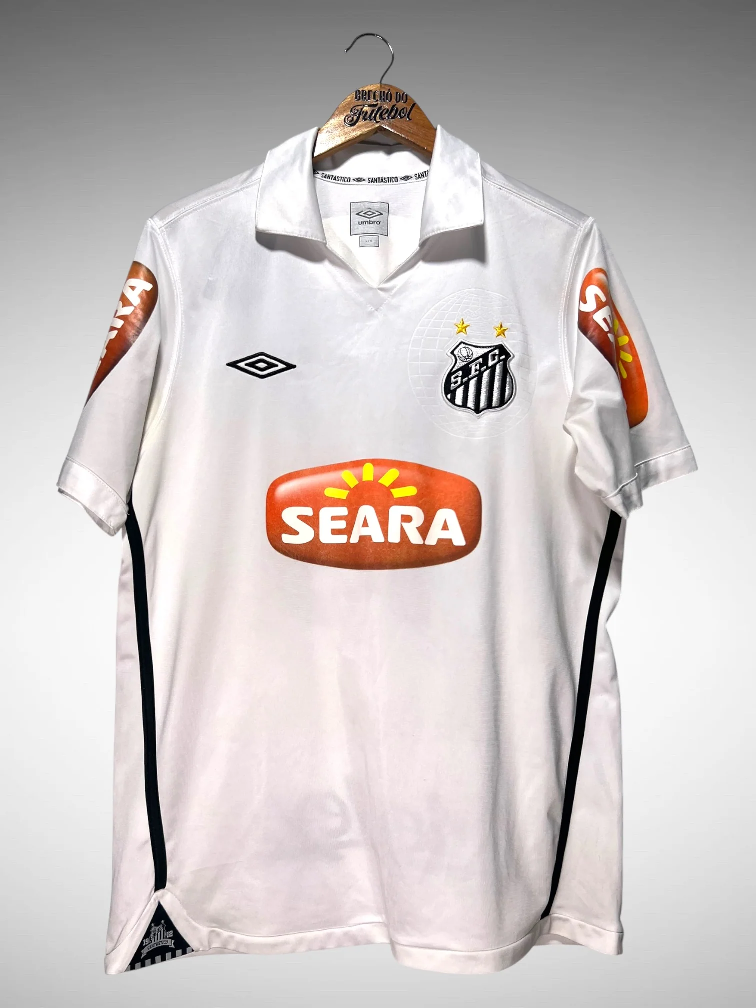 Santos 2010 Home
