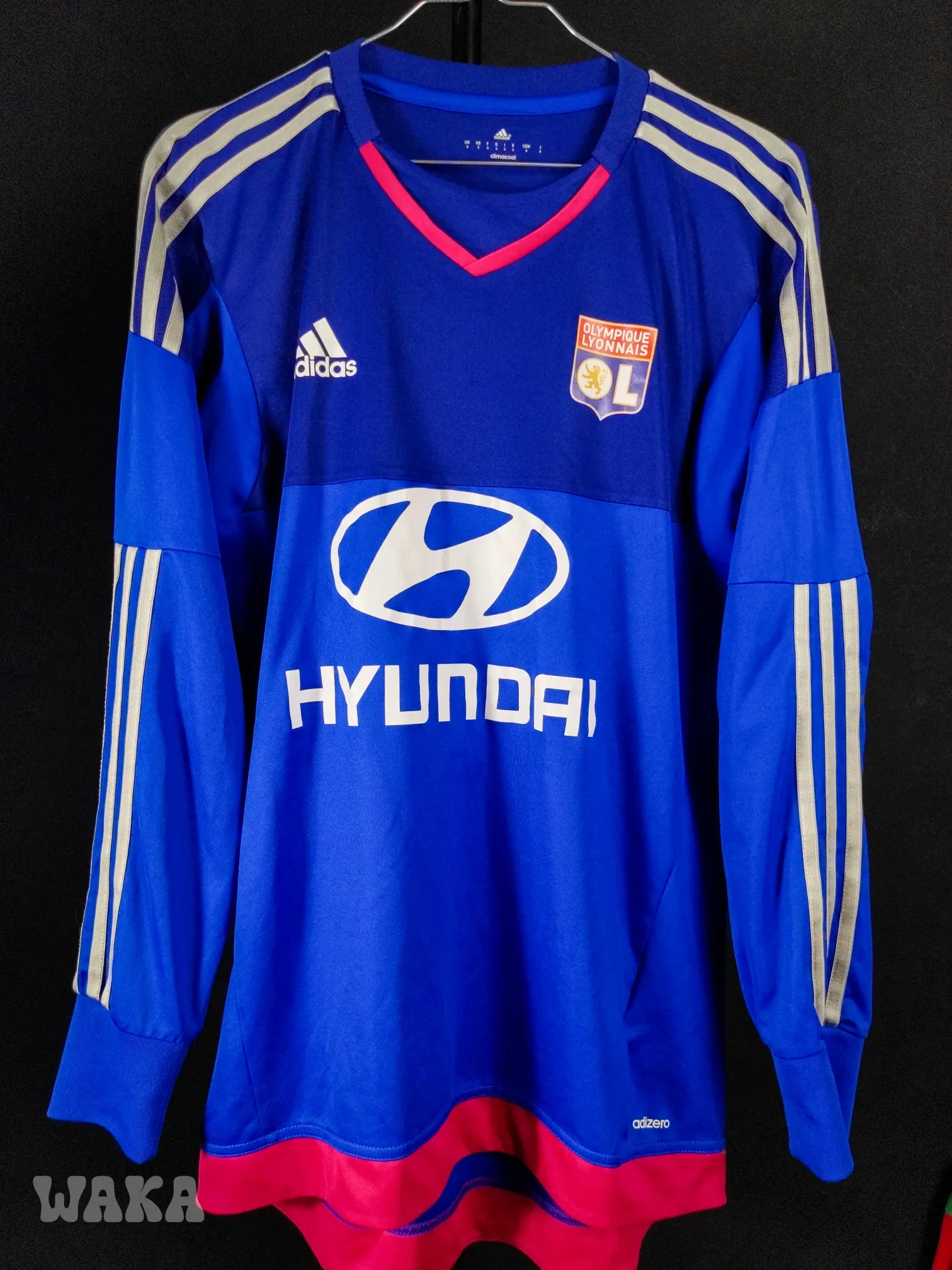 Lyon 2015-16 Gk