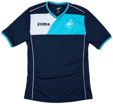 Swansea City 2016-17 Training