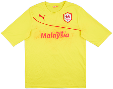 Cardiff City 2013-14 Third