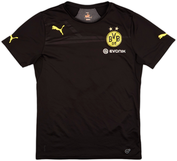 Borussia Dortmund 2013-14 Training