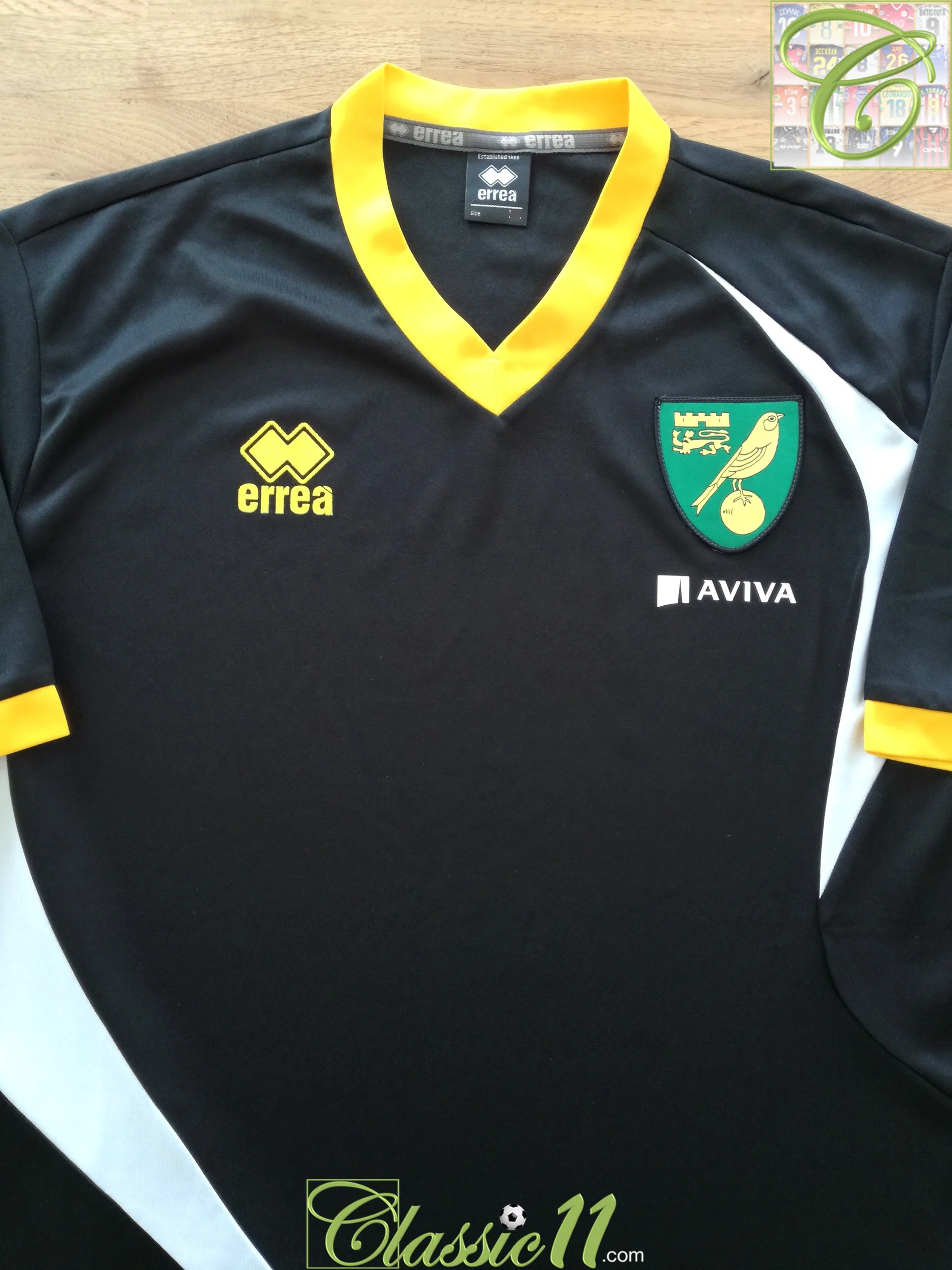 Norwich City 2013-14 Training