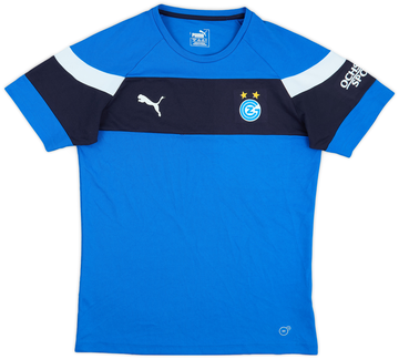 Grasshoppers 2013-14 Training