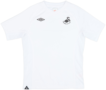 Swansea 2010-11 Home