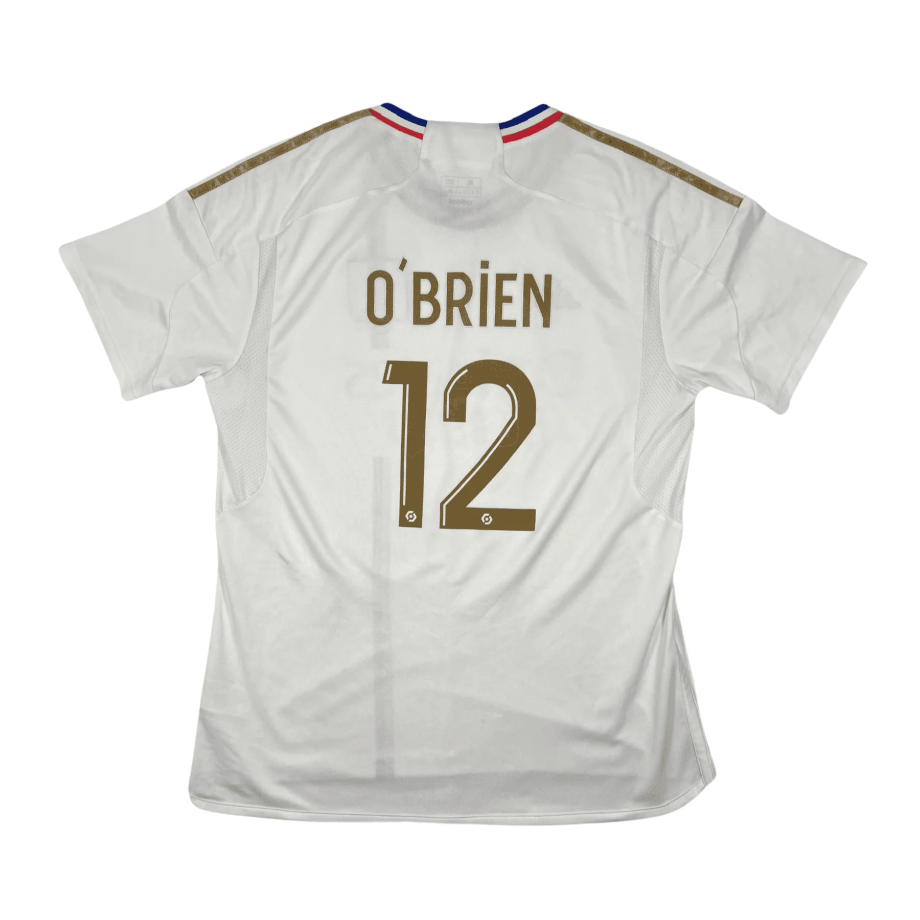 Lyon 2023-24 Home