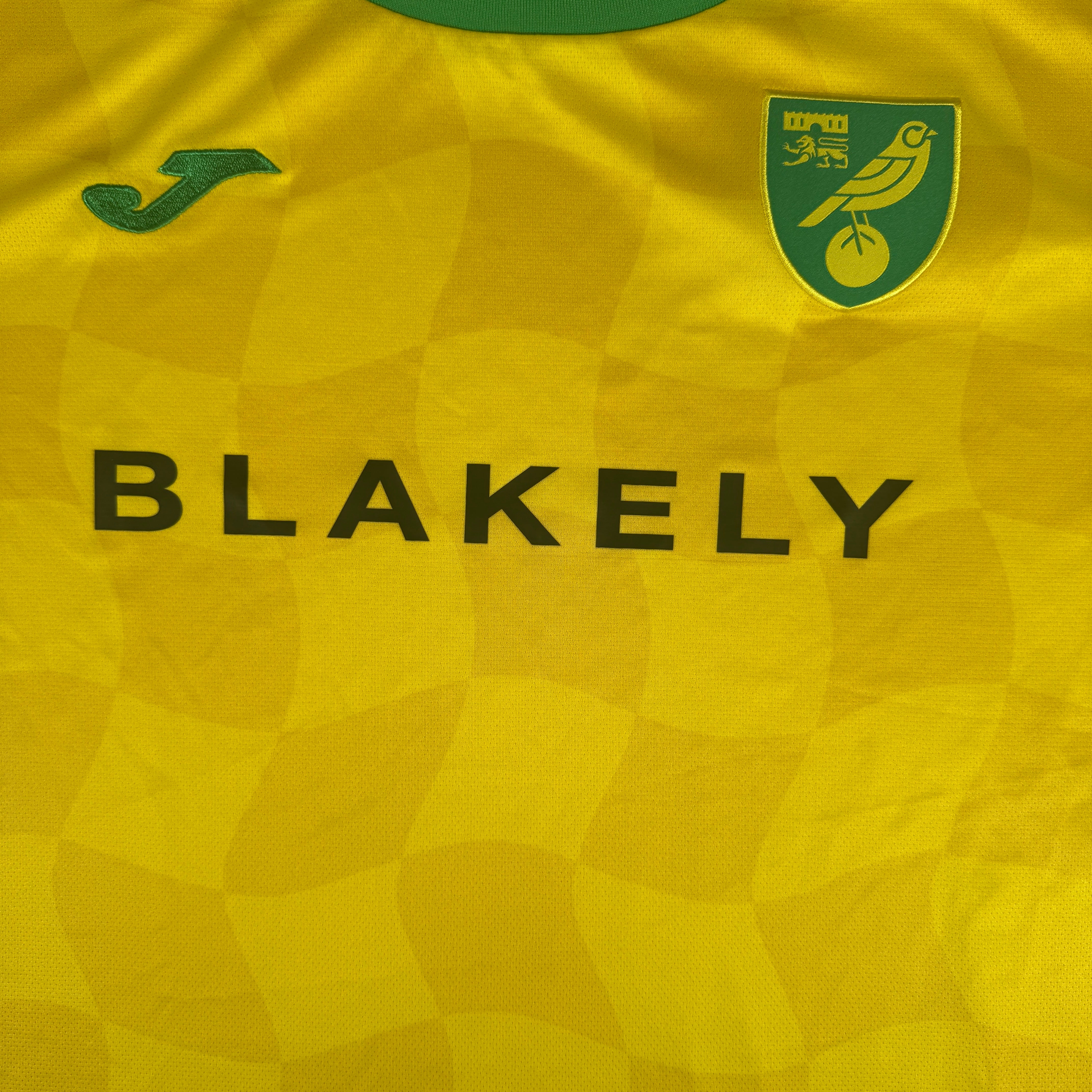 Norwich City 2024-25 Home