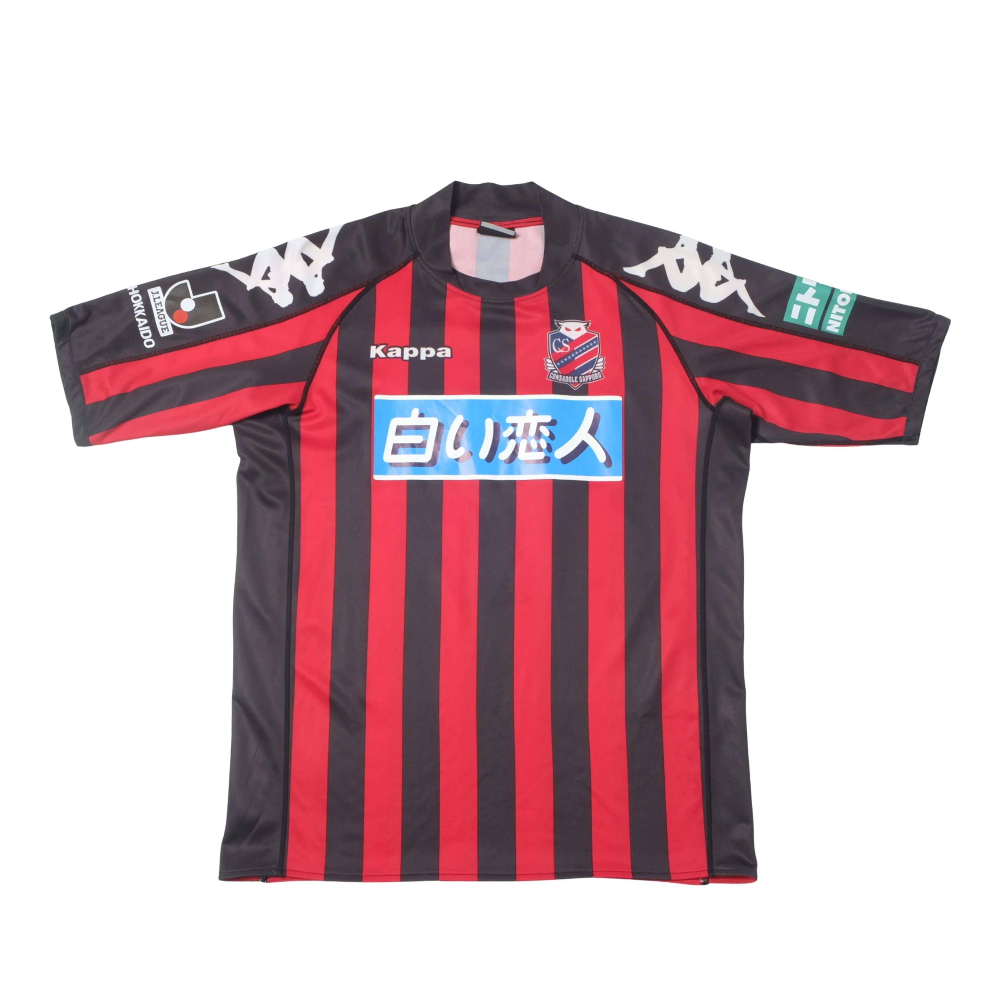 Consadole Sapporo 2010-11 Home