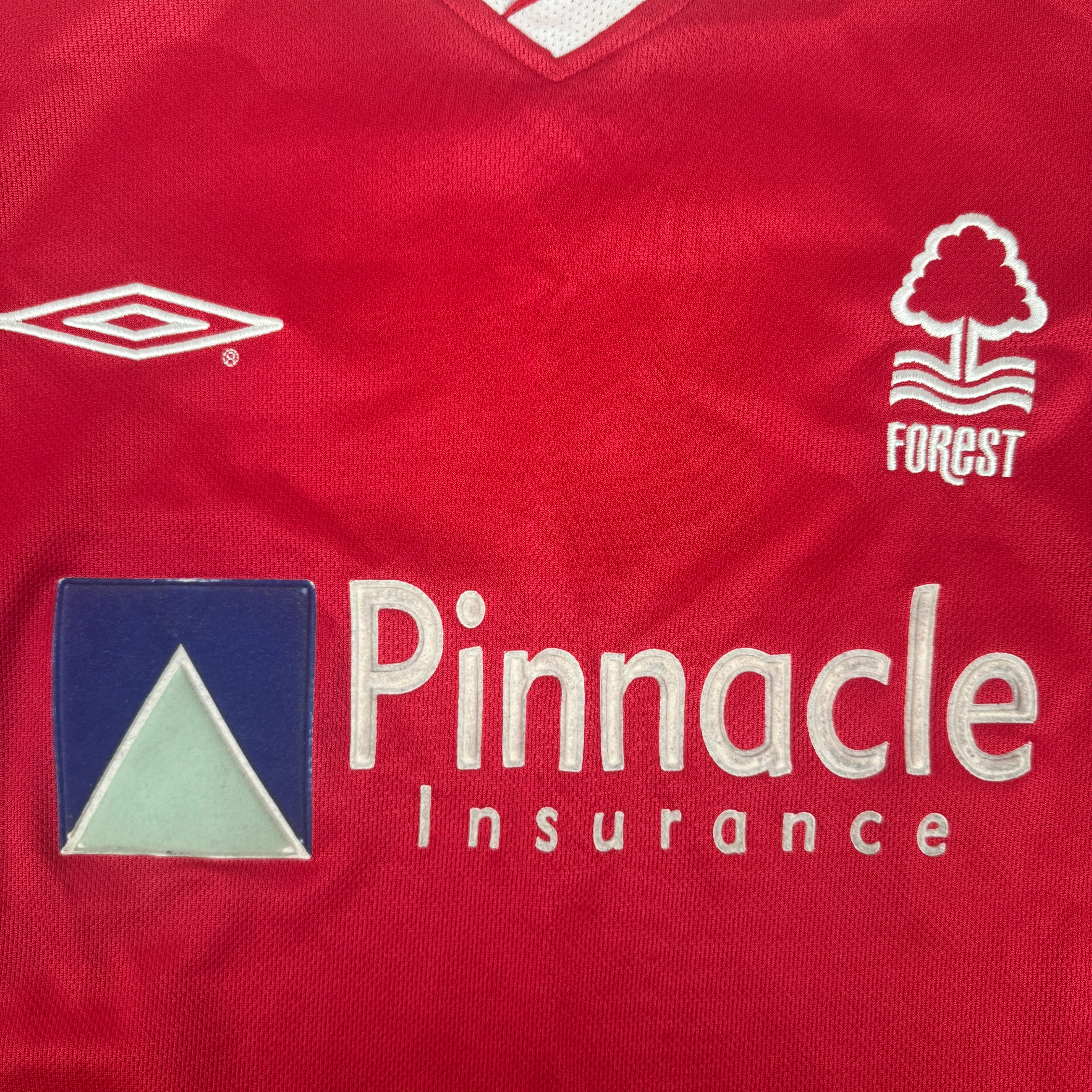 Nottingham Forest 2002-03 Home