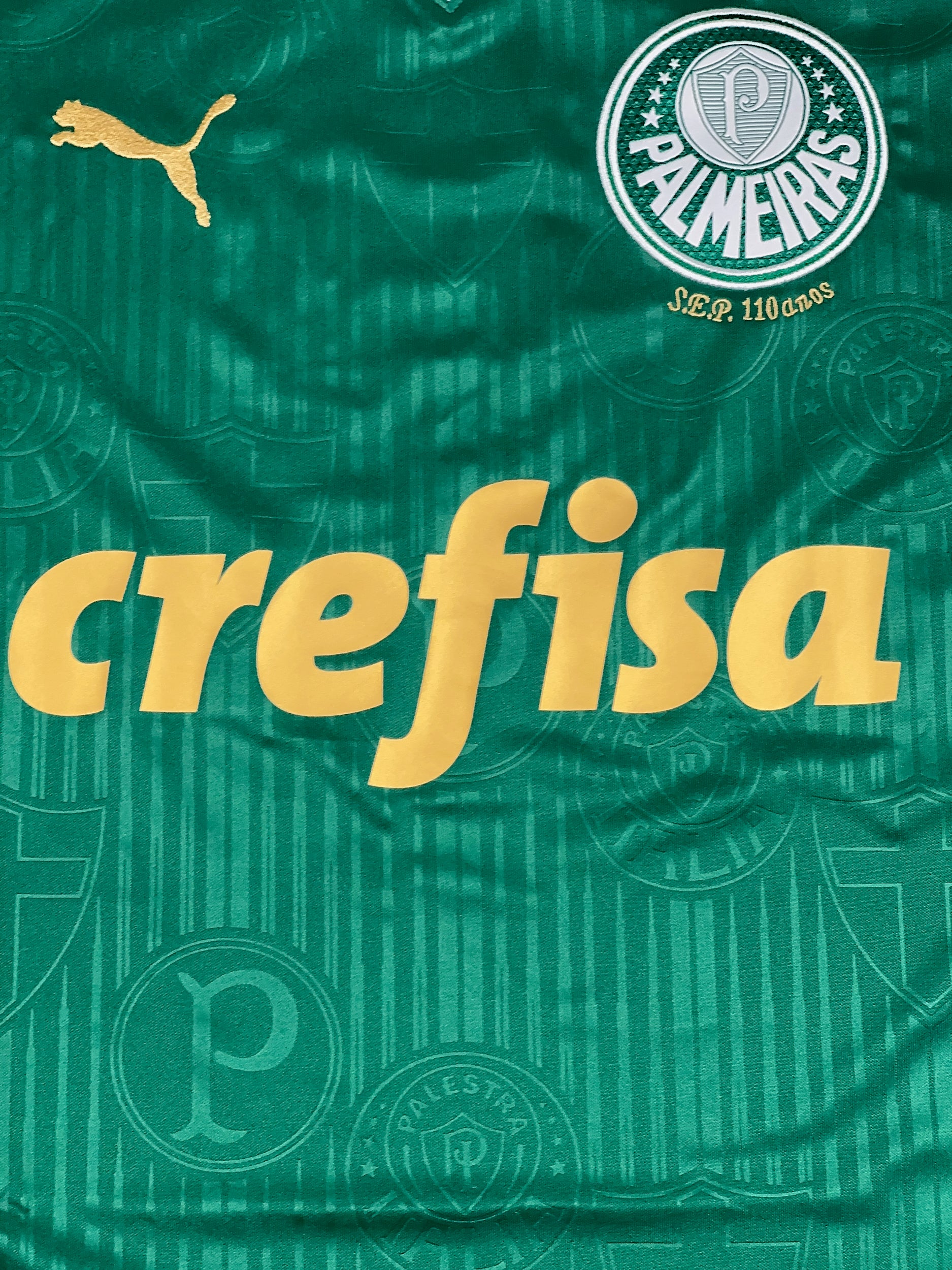 Palmeiras 2024-25 Home