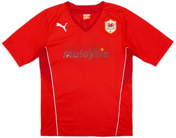 Cardiff City 2013-14 Home