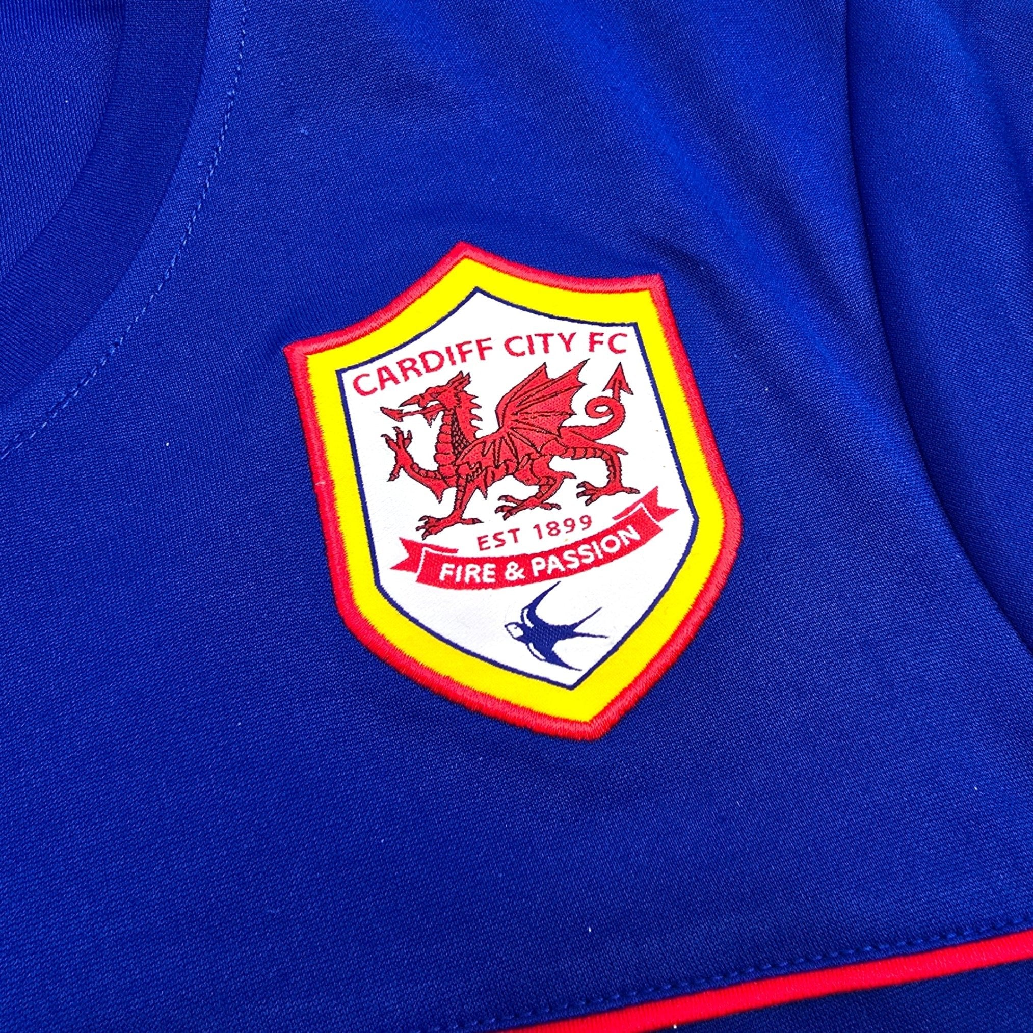 Cardiff City 2013-14 Away
