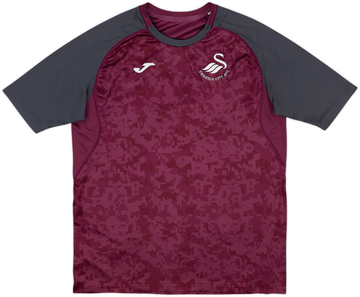 Swansea City 2018-19 Training