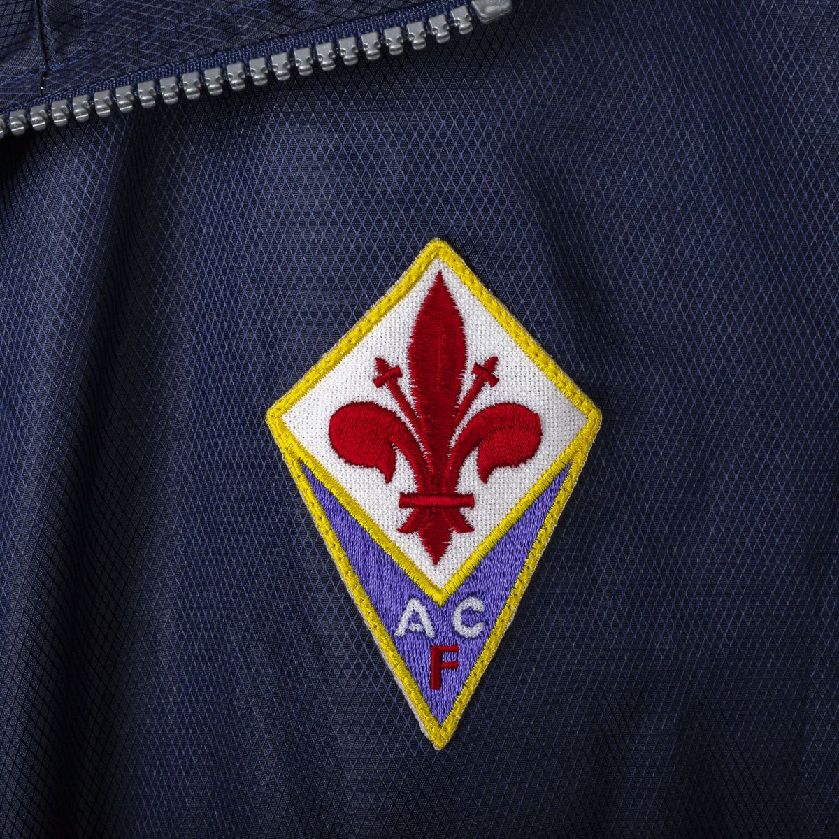 Fiorentina 2001-02 Training