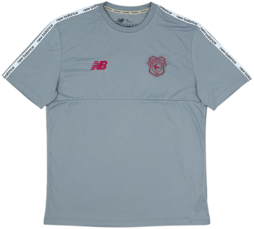 Cardiff City 2024-25 Training