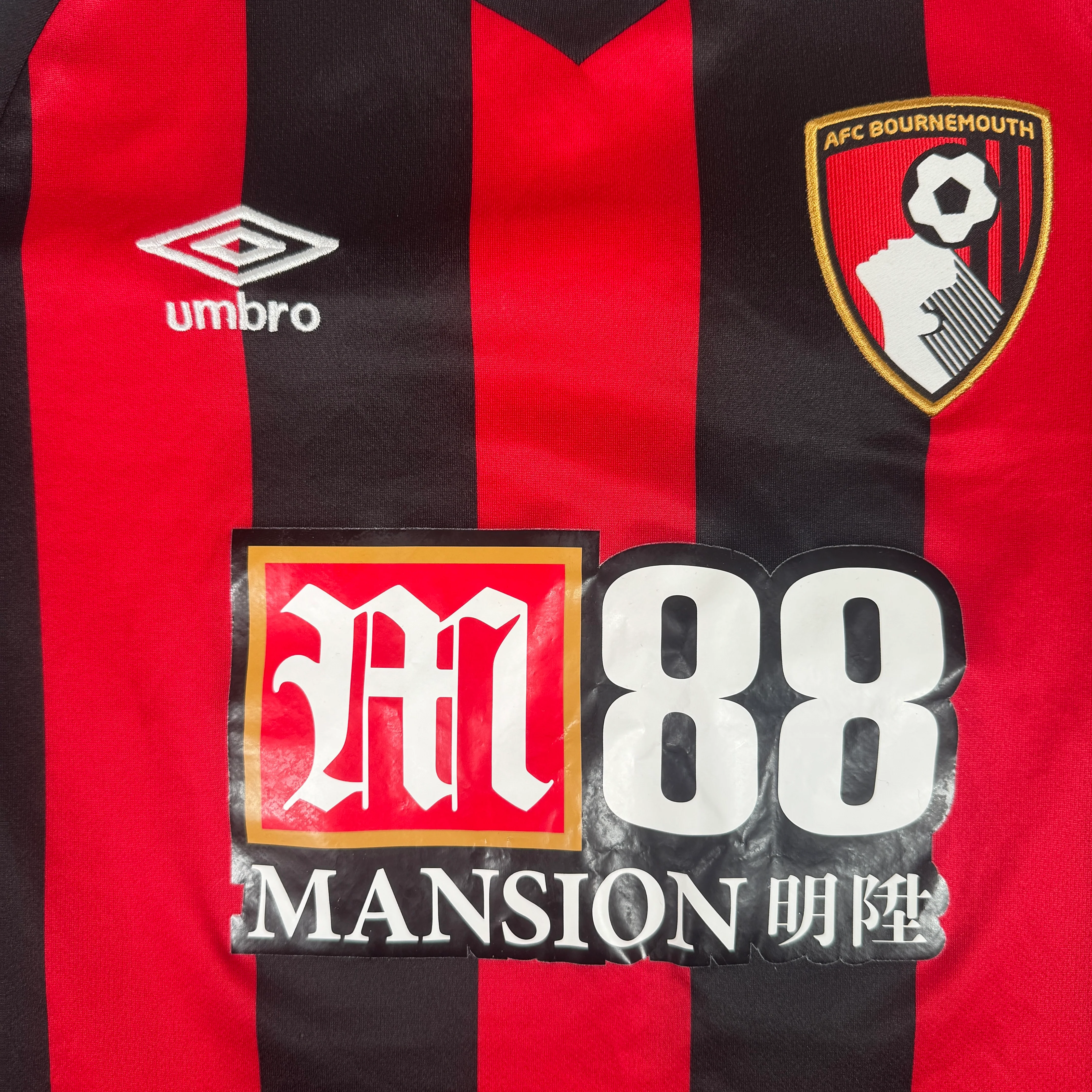 Bournemouth 2018-19 Home