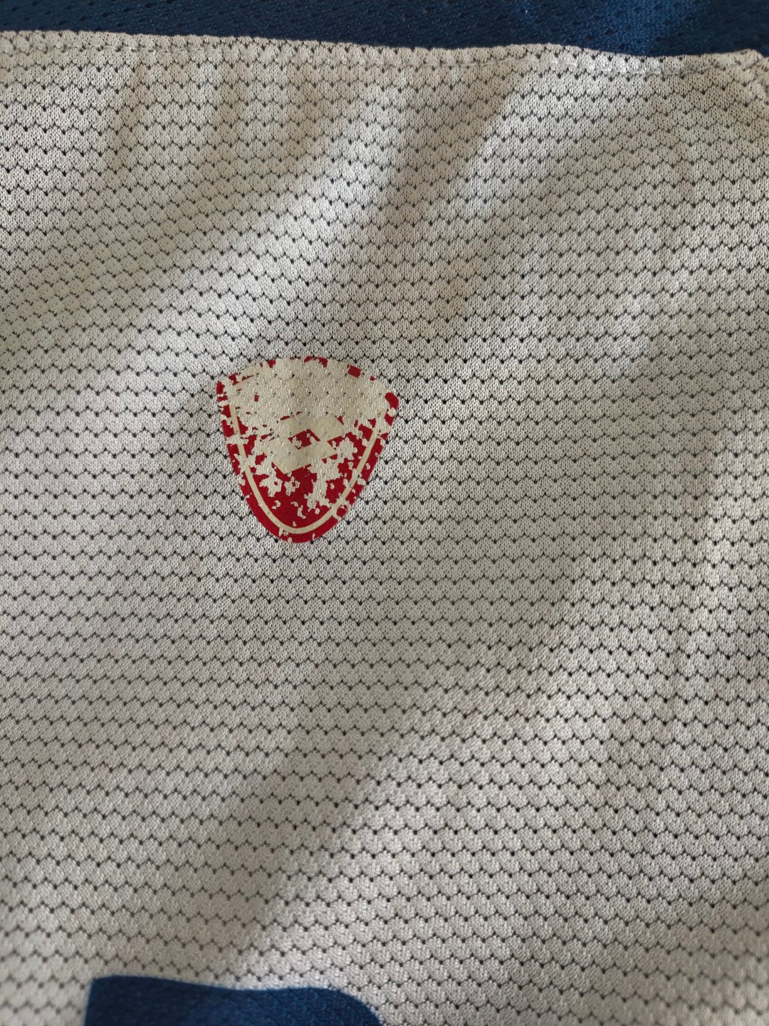 UNAM Pumas 2004-05 Home
