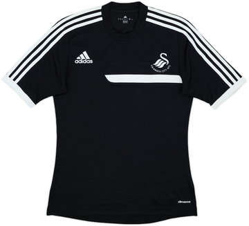 Swansea City 2013-14 Training