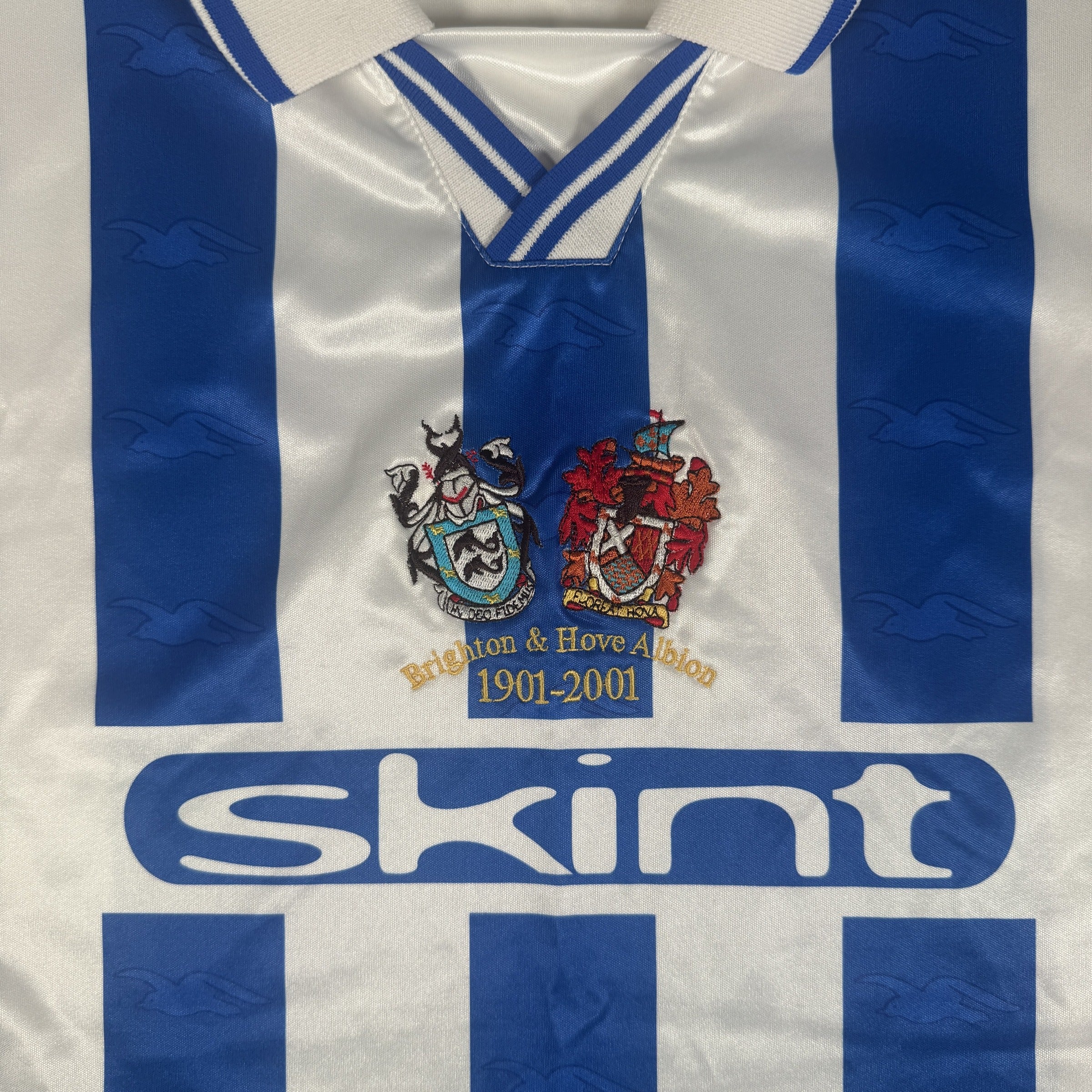 Brighton and Hove Albion 2000-01 Home