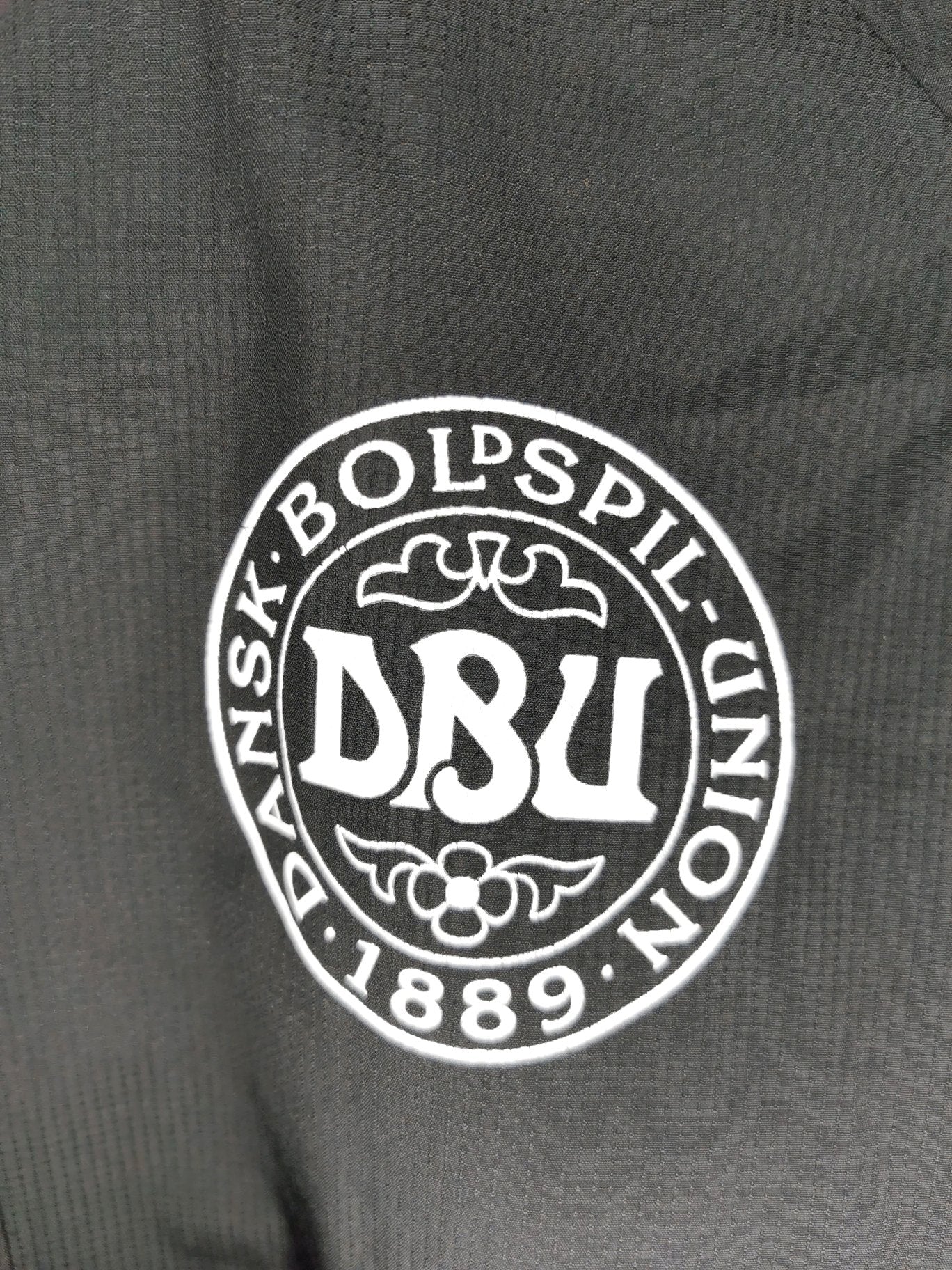 Denmark 2014 Training