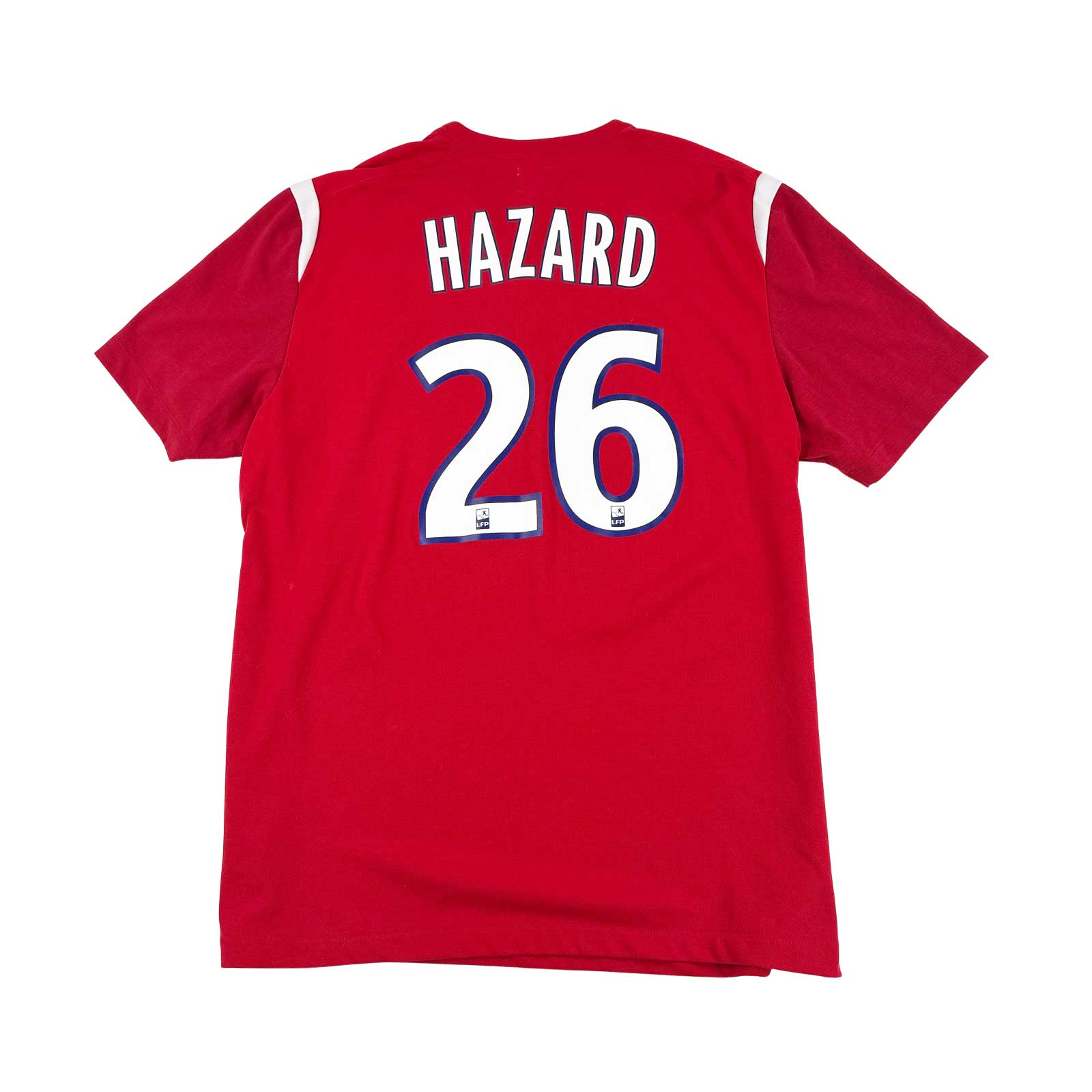 Lille 2010-11 Home