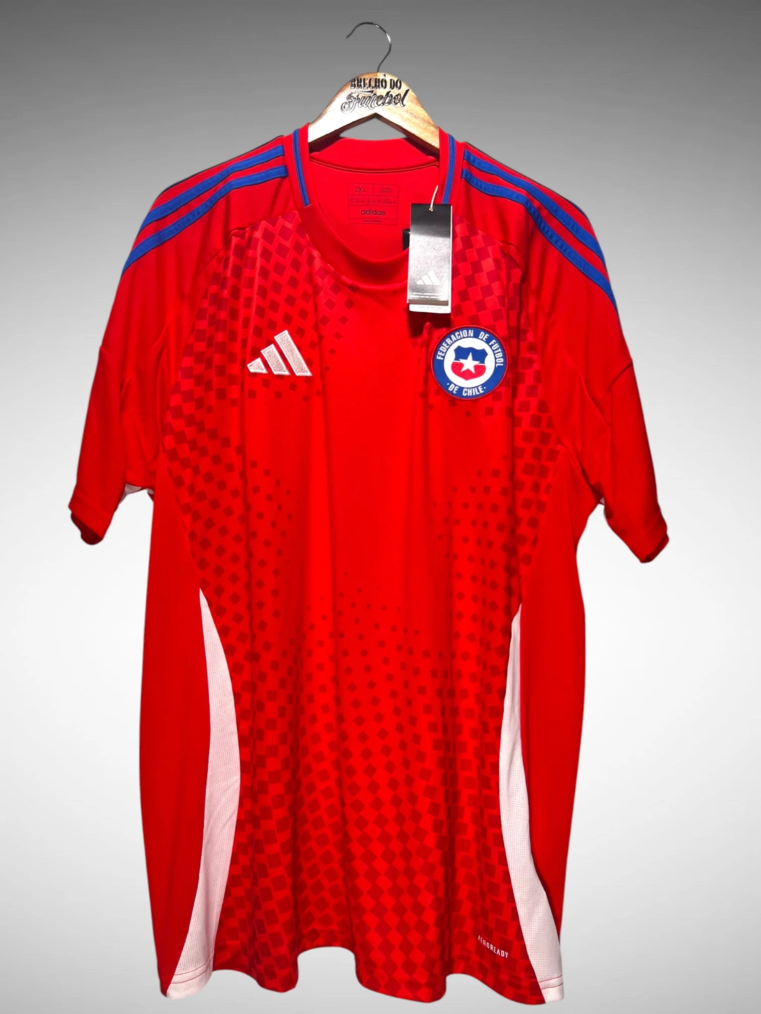 Chile 2024 Home