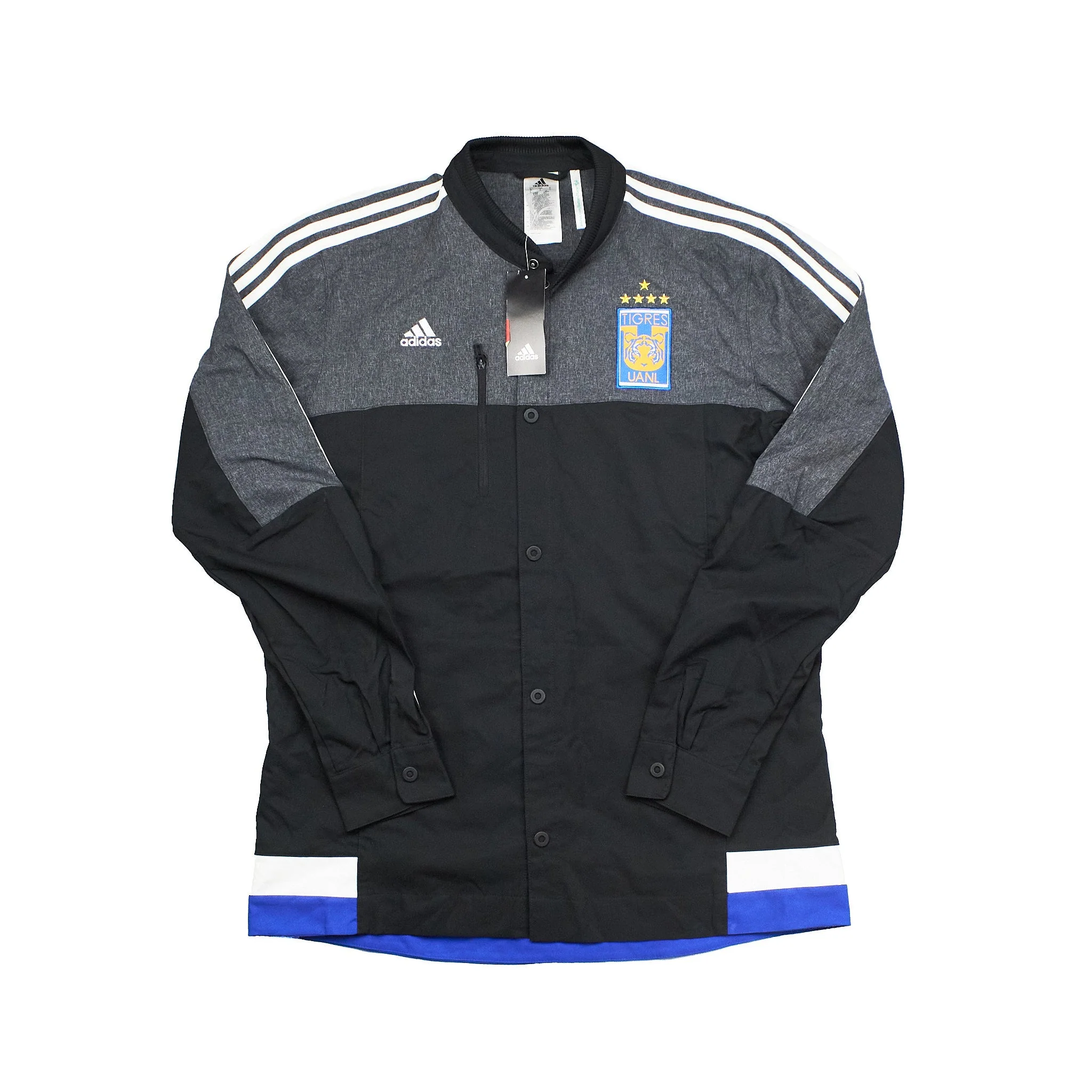 Tigres UANL 2015-16 Training