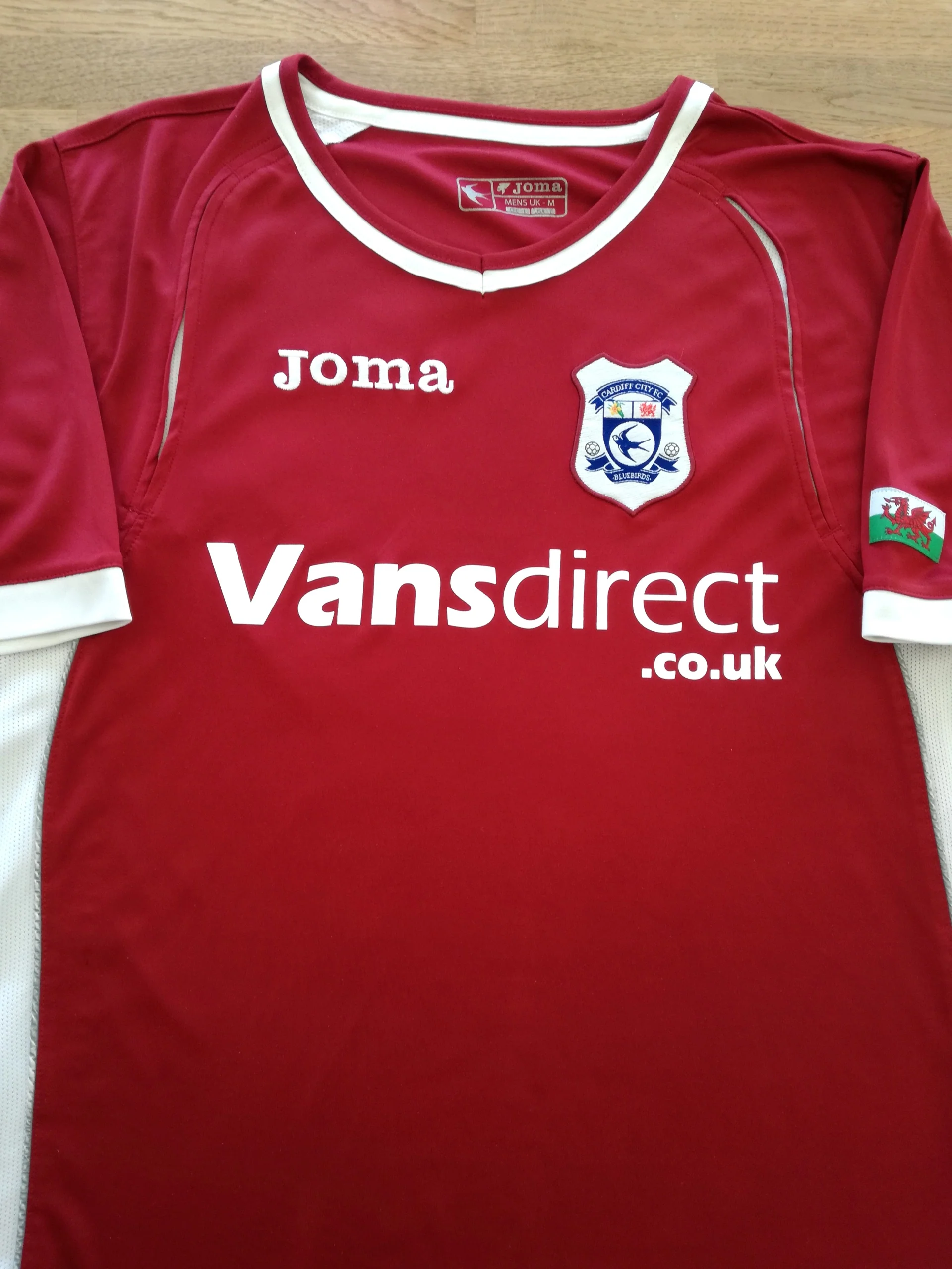 Cardiff City 2008-09 Away