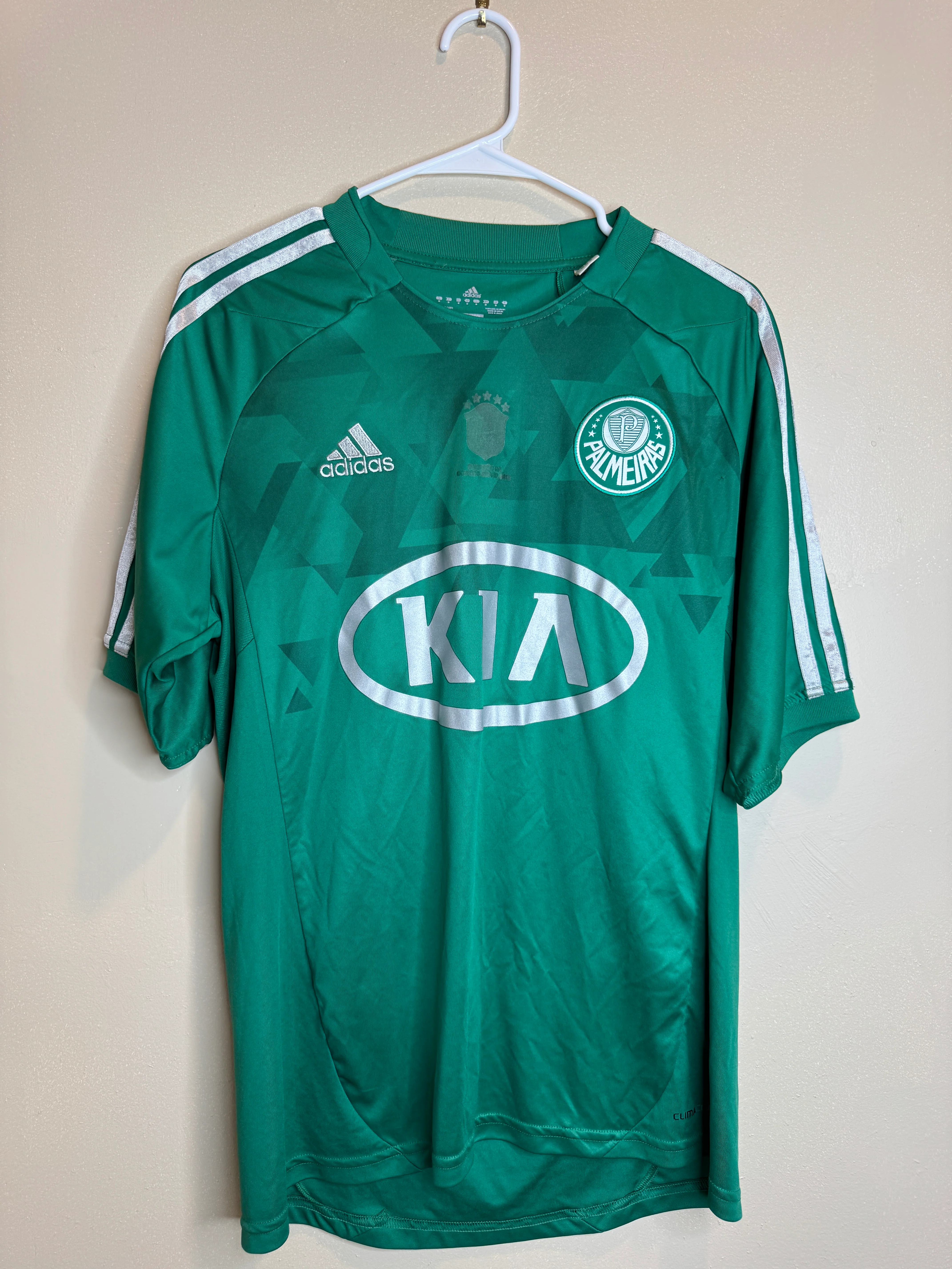 Palmeiras 2012-13 Home
