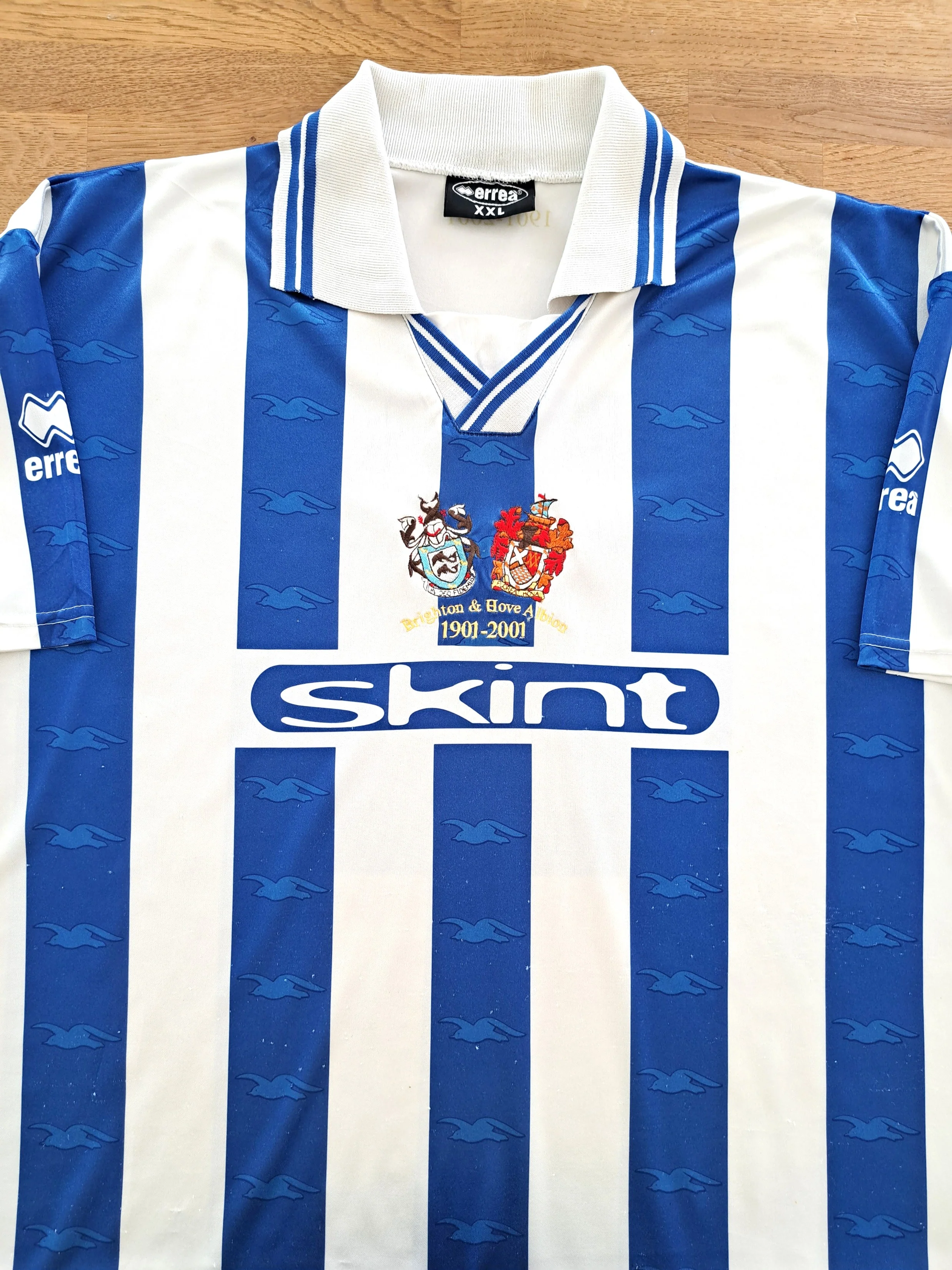Brighton & Hove Albion 2001-02 Home