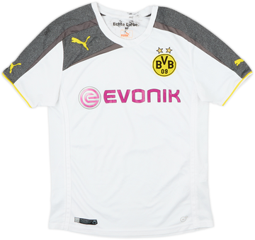 Borussia Dortmund 2013-14 Third