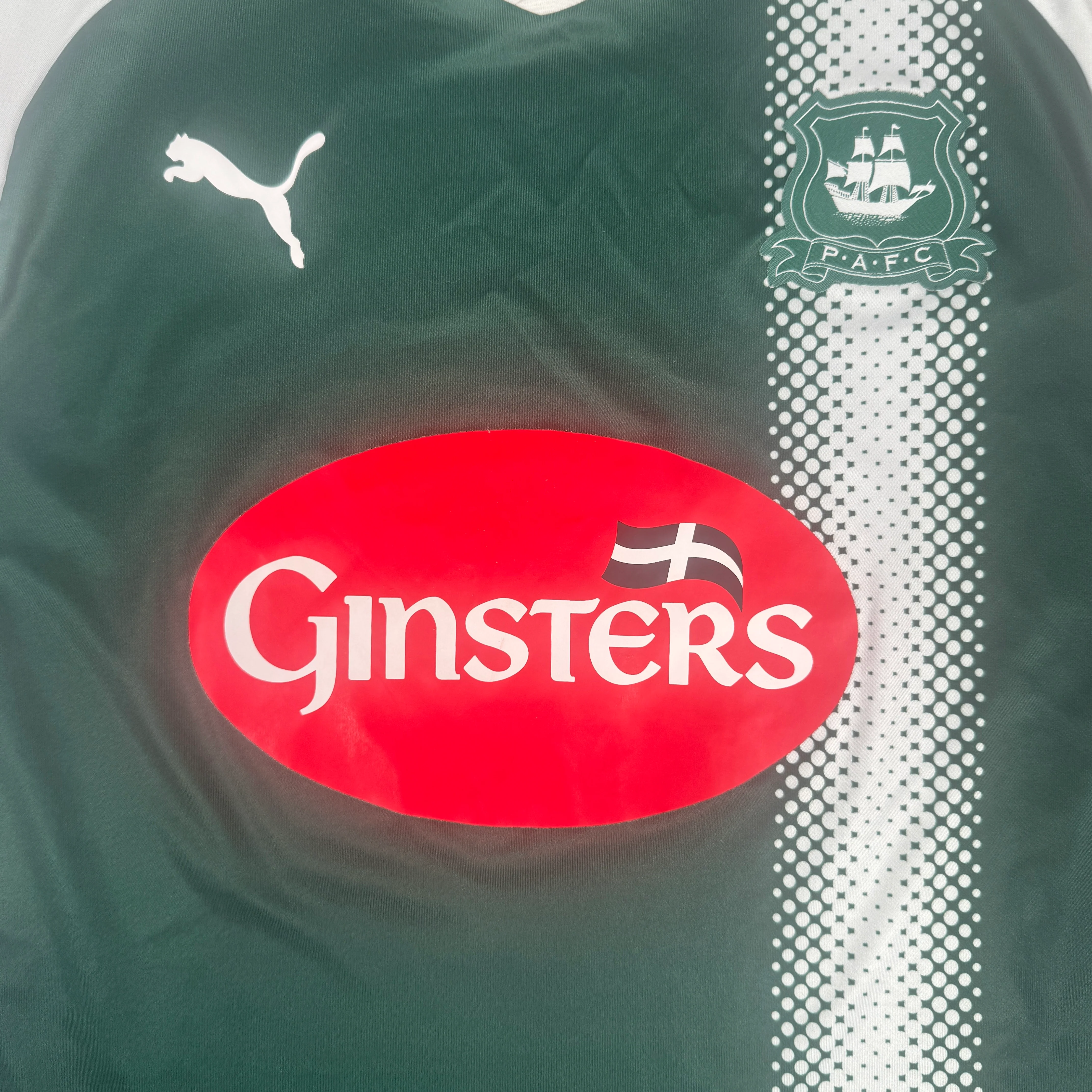 Plymouth Argyle 2017-18 Home