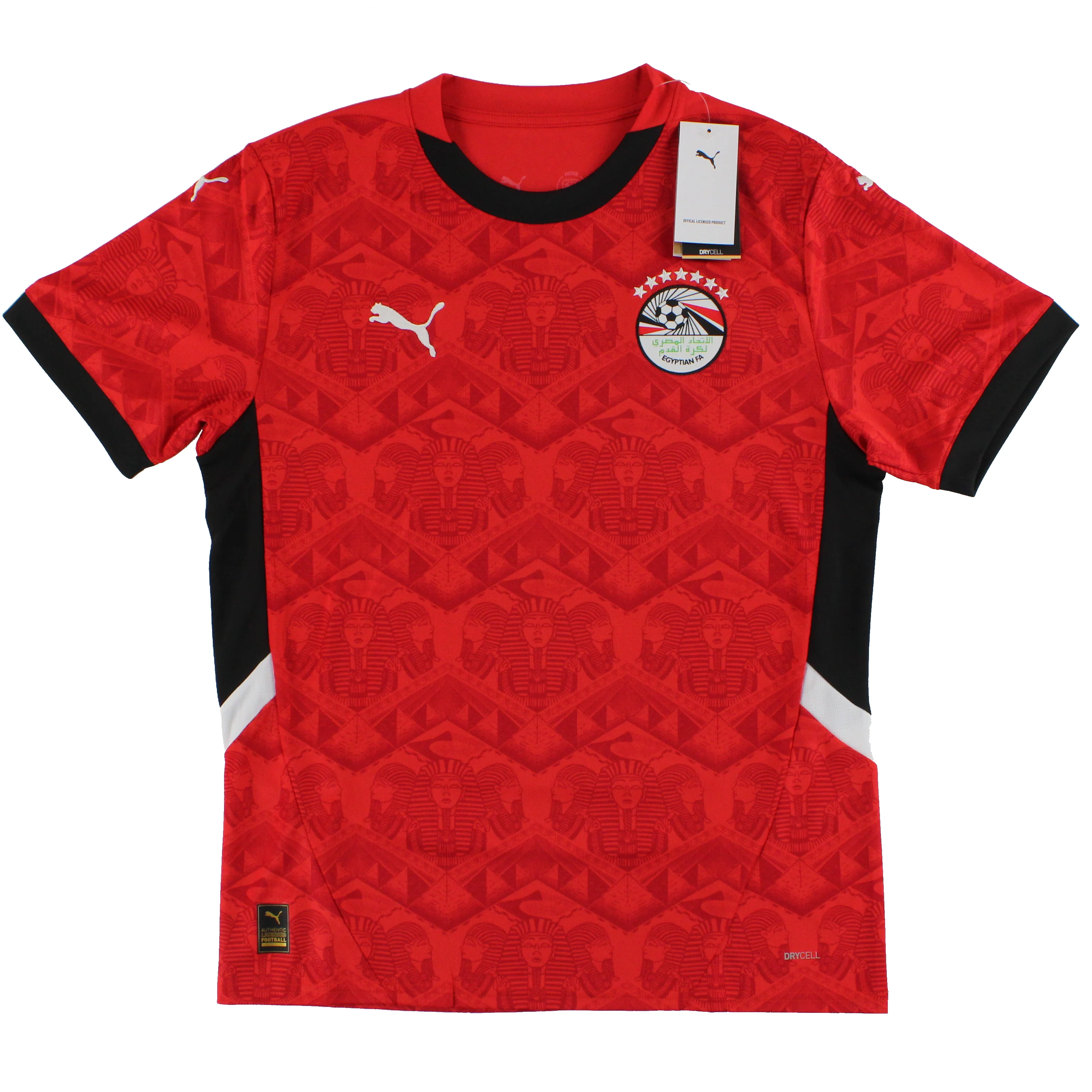 Egypt 2024-25 Home