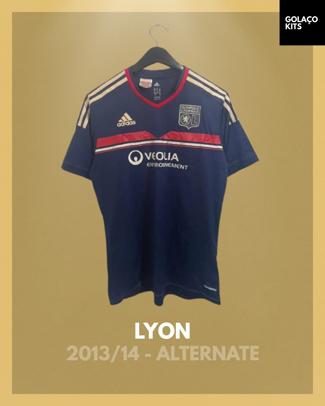 Lyon 2013-14 Special