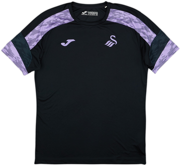 Swansea City 2024-25 Training