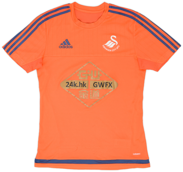 Swansea City 2015-16 Training