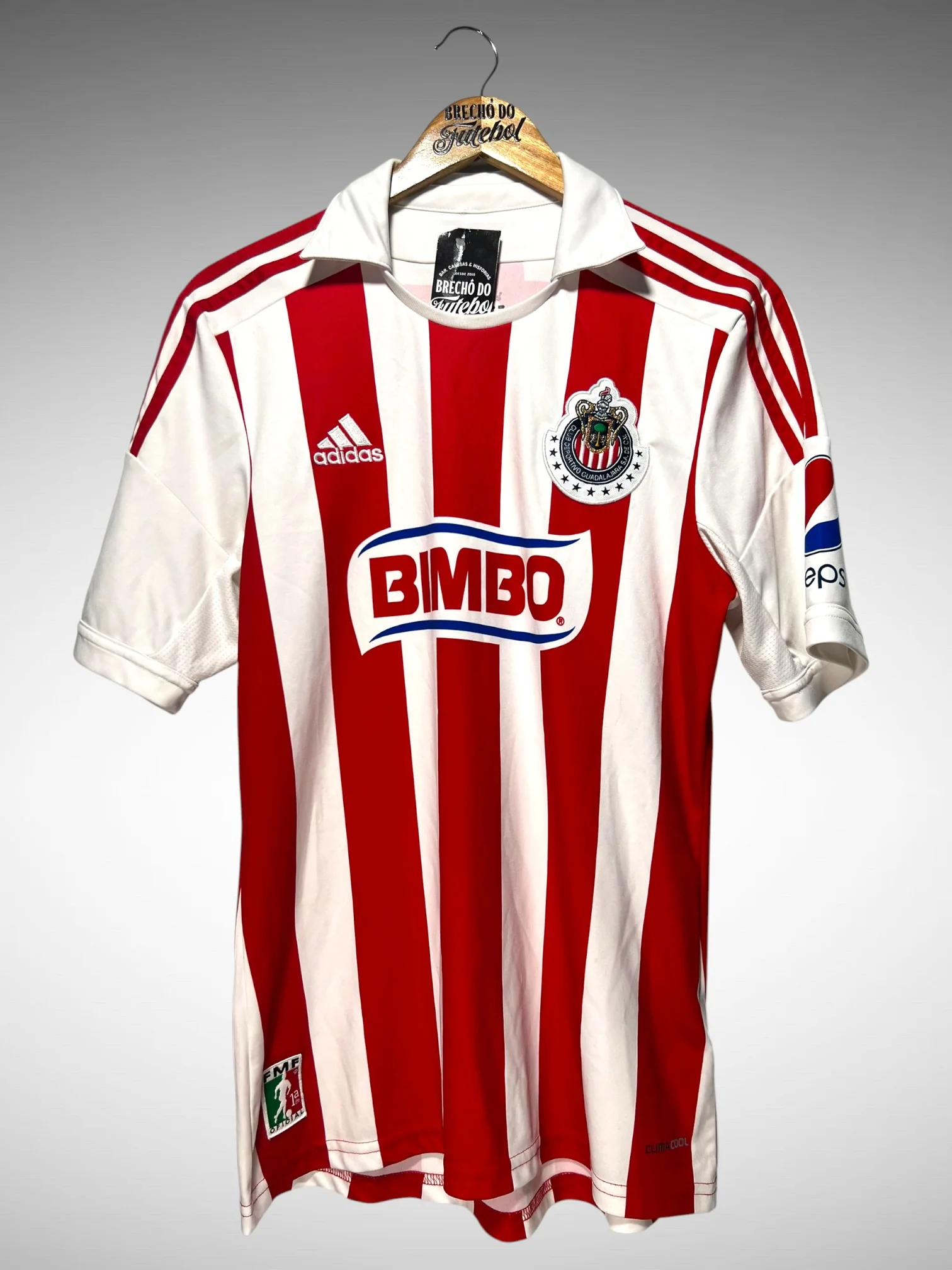 Chivas Guadalajara 2013 Home